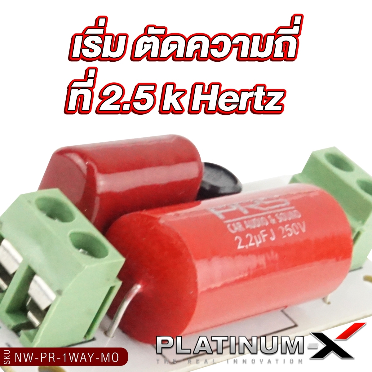 PLATINUM-X ครอสโอเวอร์ เน็ตเวิร์คทวิตเตอร์จาน PX-FUSE.100A กระบอกฟิวส์ ...