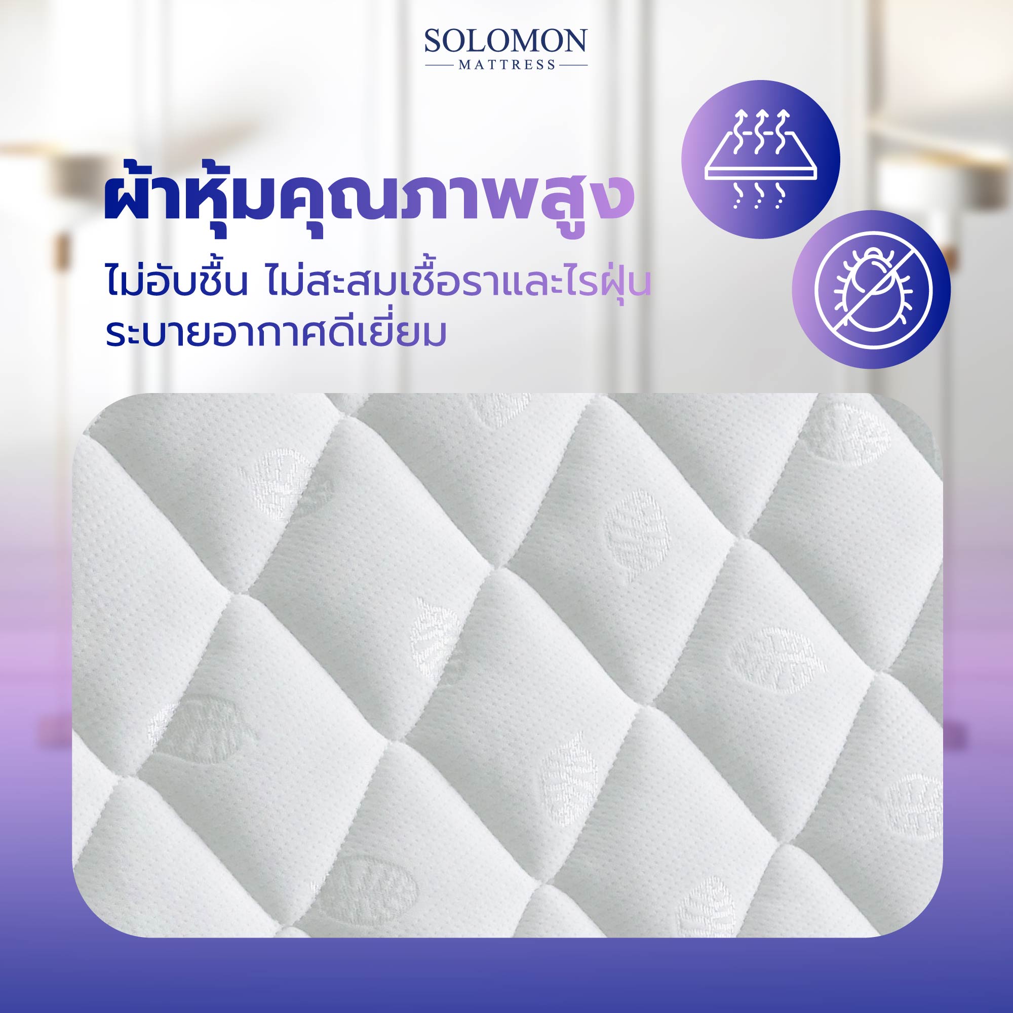 Solomon mattress รุ่น Mother ที่นอนสปริงเสริมยางพาราอัด หนา 10 นิ้ว รองรับสรีระ ลดอาการปวดหลัง