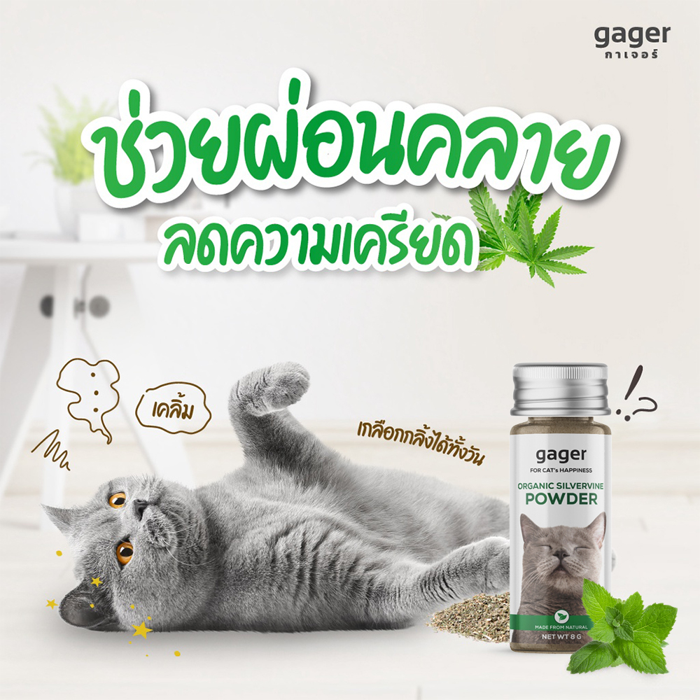 Winky Wink (Gager) แคทนิปแบบผงสำหรับแมว แคทนิปแบบผง ไม้มาทาทาบิ ออร์แกน ...