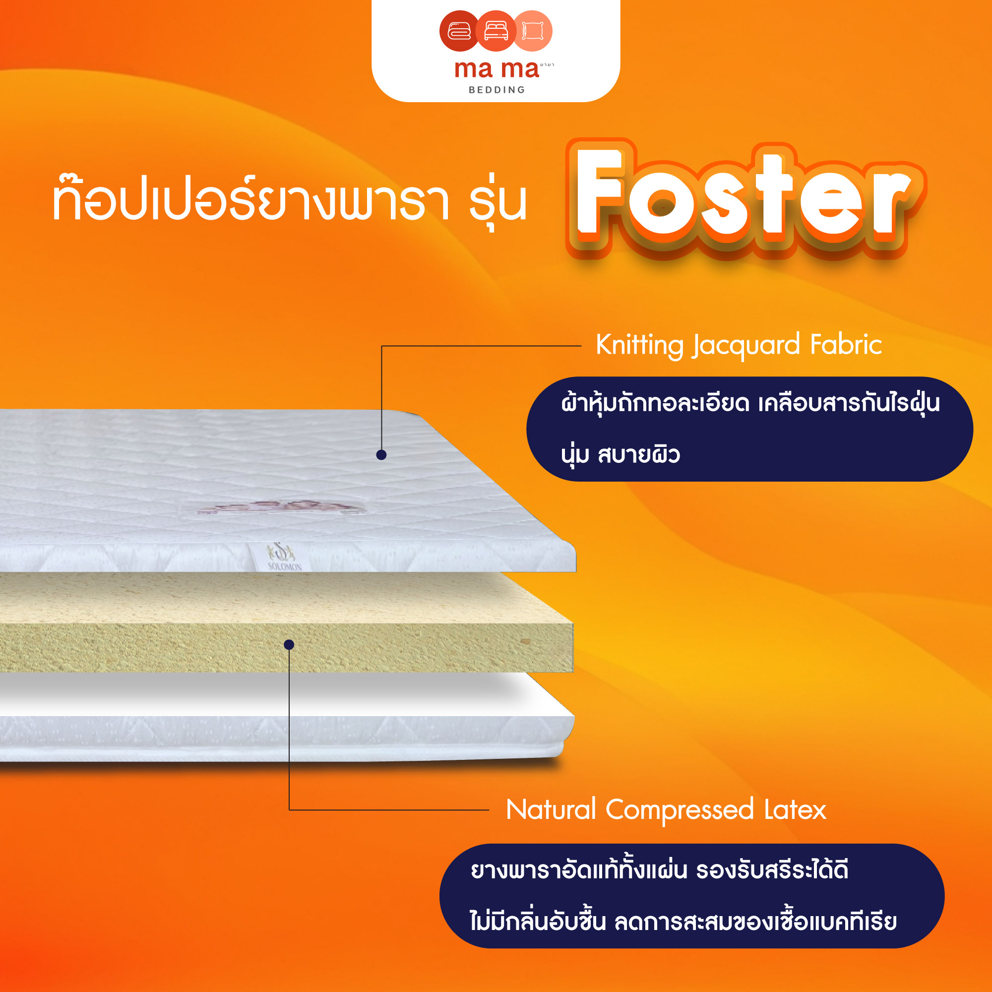 mama bedding ที่นอน Topper ยางพารา รุ่น Foster หนา 2 นิ้ว และ หนา 3 ...