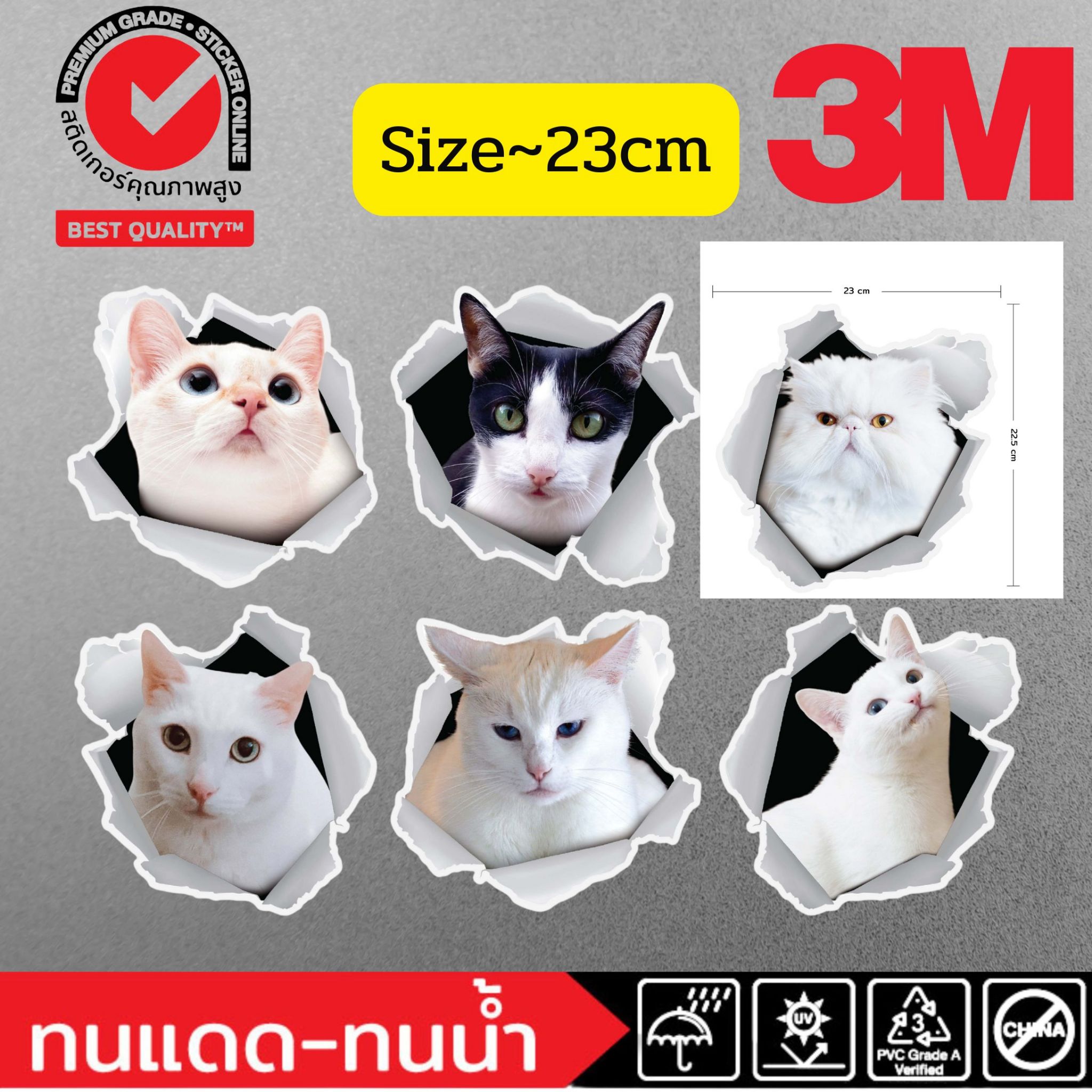 (021)Sticker 3M 3D แมว แมวขาว cat สติ๊กเกอร์ 3 มิติ รถยนต์ ผนัง กระจก ...