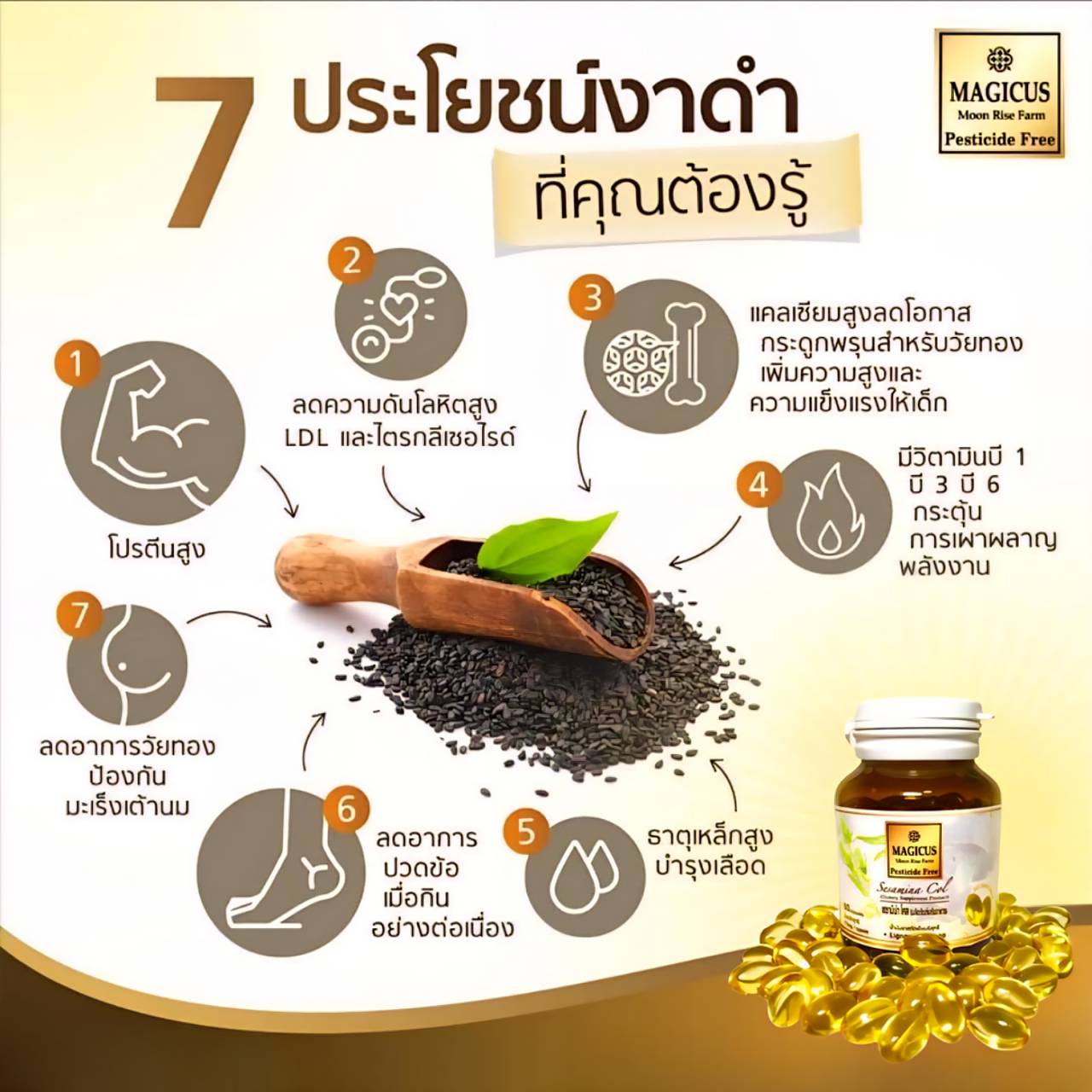 Magicus Hera X Magicus Sesamina Col: มาจิคัสเฮร่า วิตามินลดผมร่วง x เซ ...