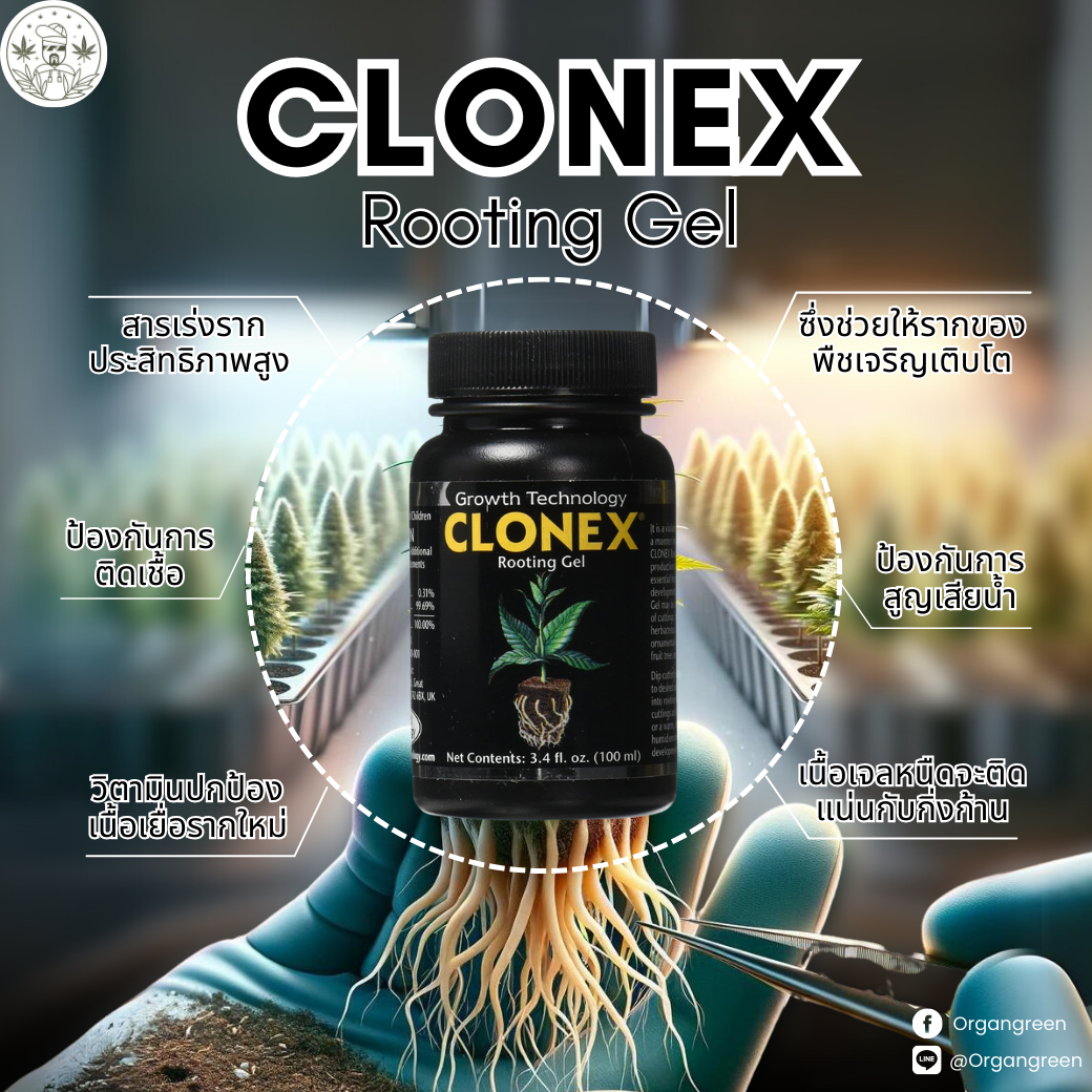 Clonex Rooting Gel ขนาด 15 ml สารเร่งรากประสิทธิภาพสูง ของแท้ 100% ซึ่ง ...