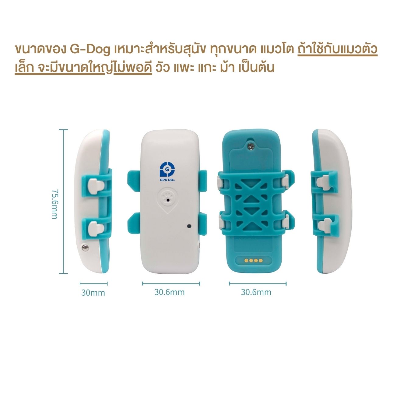 G-Dog GPS ติดตามน้องหมา โดยยึดกับปลอกคอ ช่วยติดตามสุนัขได้ ป้องกันการ ...