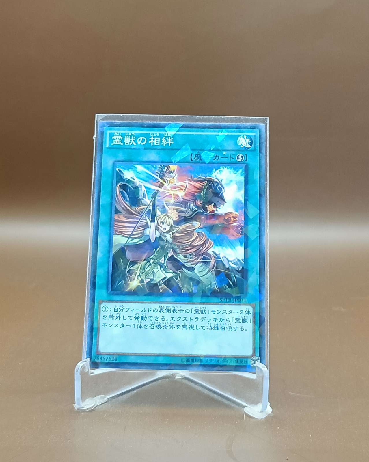 Yu-Gi-Oh Trading Card Game Konami All Spell Card Normal Parallel รวม ...