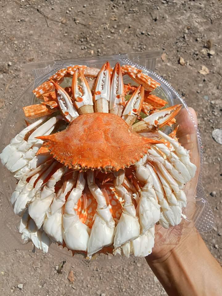เนื้อปูแกะ แกะจากปูม้าขนาด พร้อมน้ำจิ้ม แกะจากปูม้าสดวันต่อวัน | Shopee ...