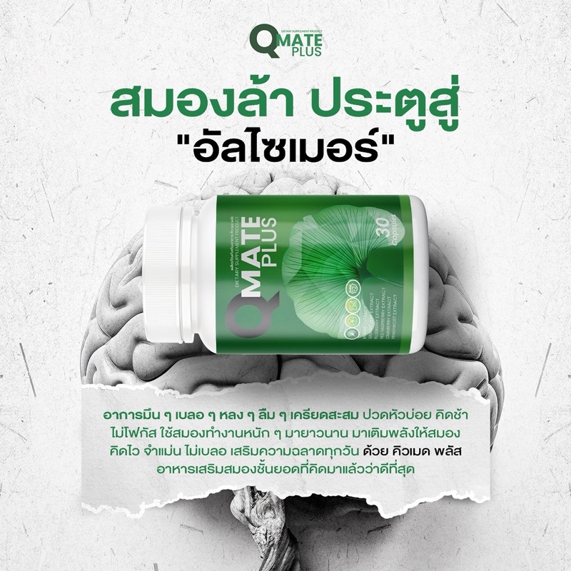 Qmate คิวเมด วิตามินบำรุงสมอง สมองดี ลดเคลียด จำไว หัวไว ป้องกันอัลไซด์ ...