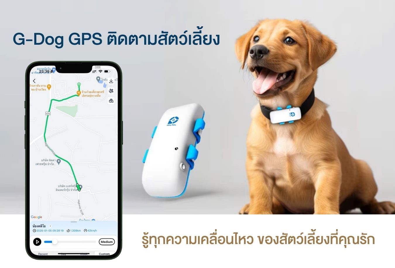 G-Dog GPS ติดตามน้องหมา โดยยึดกับปลอกคอ ช่วยติดตามสุนัขได้ ป้องกันการ ...
