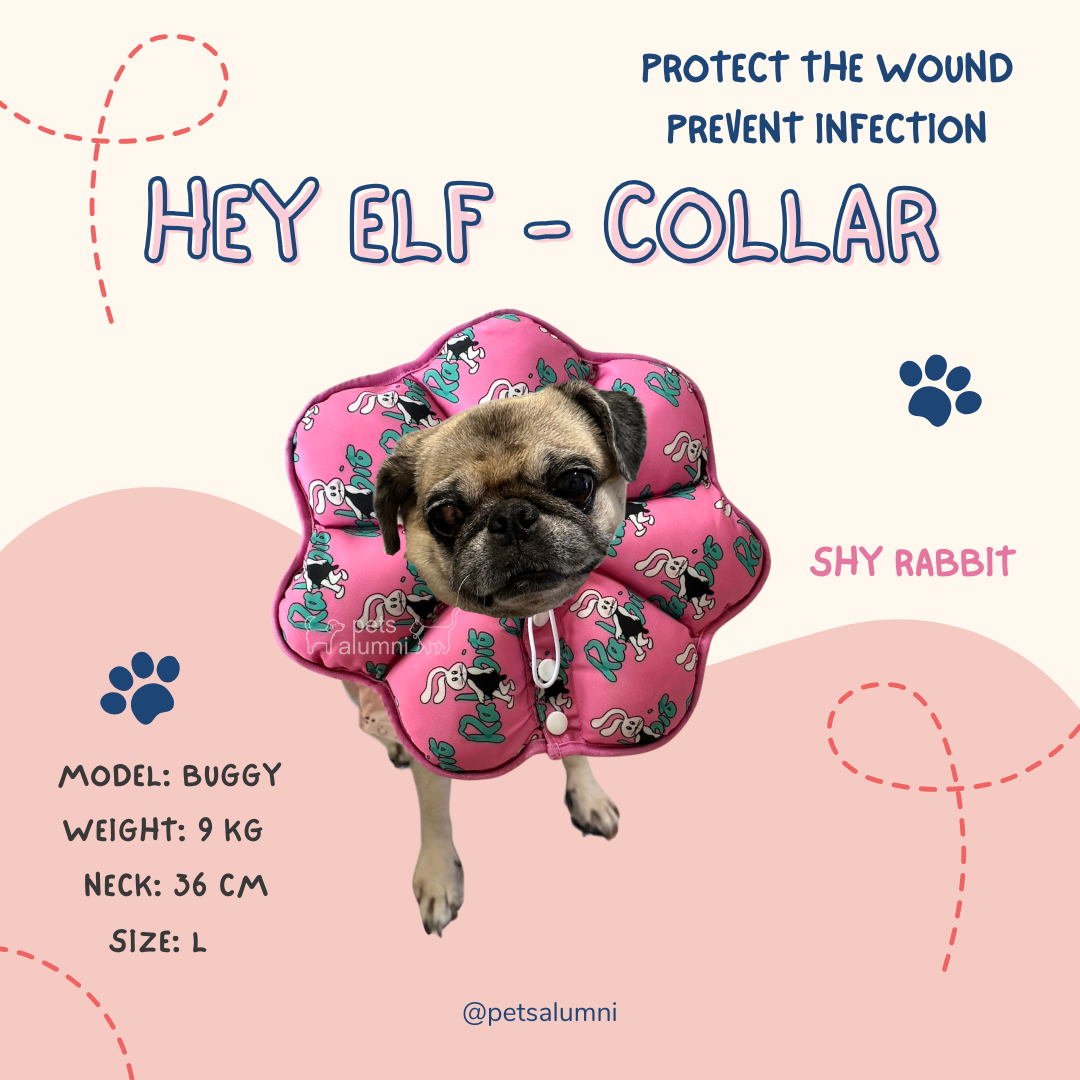 Hey Elf Collar คอลล่ากันเลียน่ารัก ชนิดนิ่ม กันน้ำ ปรับระดับได้ คอลล่า ...