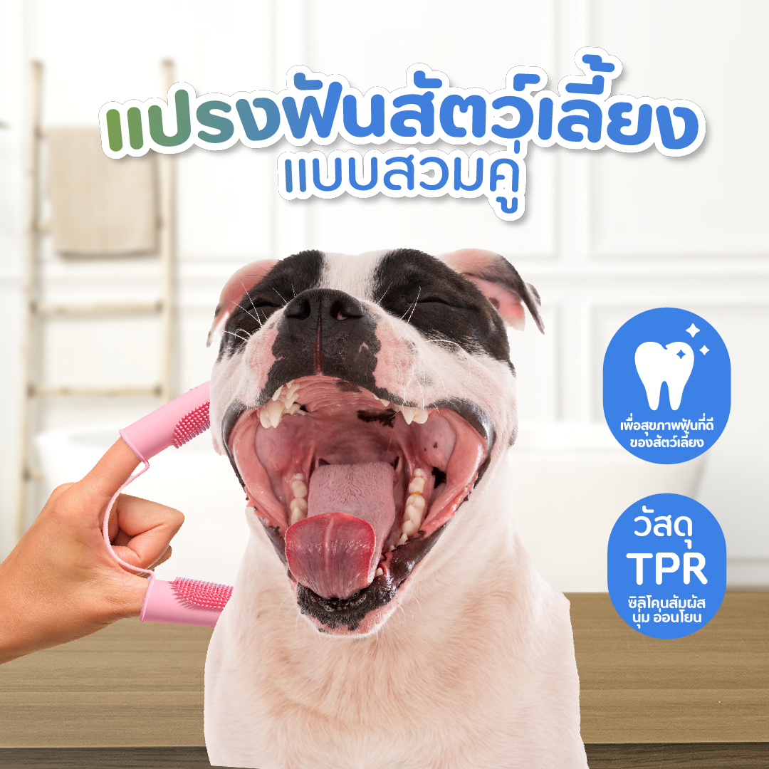 Pethappymall - แปรงฟันสำหรับสัตว์เลี้ยง - แบบสวมคู่ pet toothbrush ...