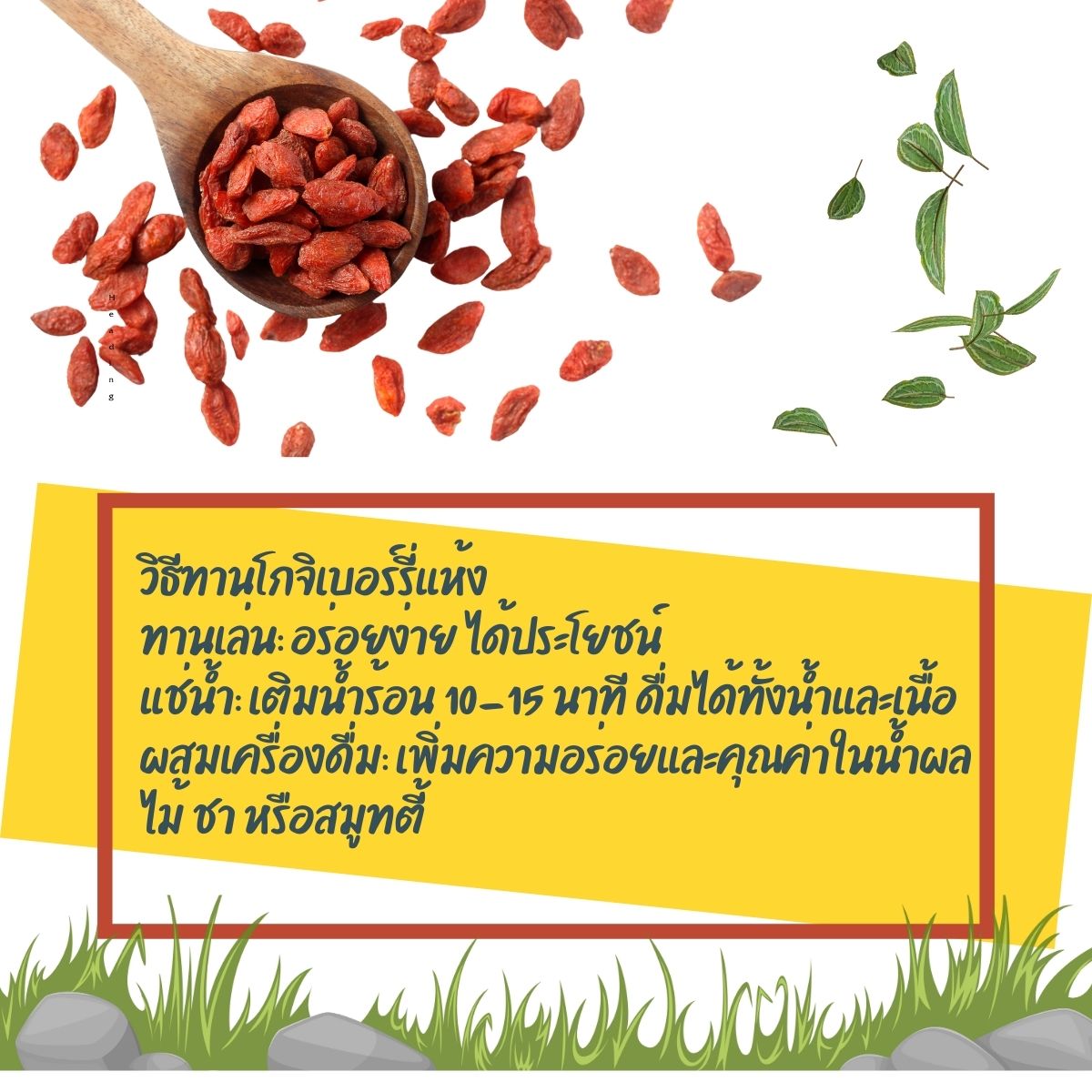 โกจิเบอร์รี่ goji berry เก๋ากี้ พร้อมทาน เก๋ากี้ 50 100 กรัม | Shopee ...