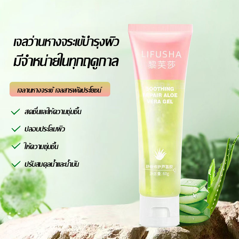LIFUSHA เเจลว่านหางจระเข้ เจลบำรุงผิวหน้าและผิวกาย 60ml Aloe Vera ...