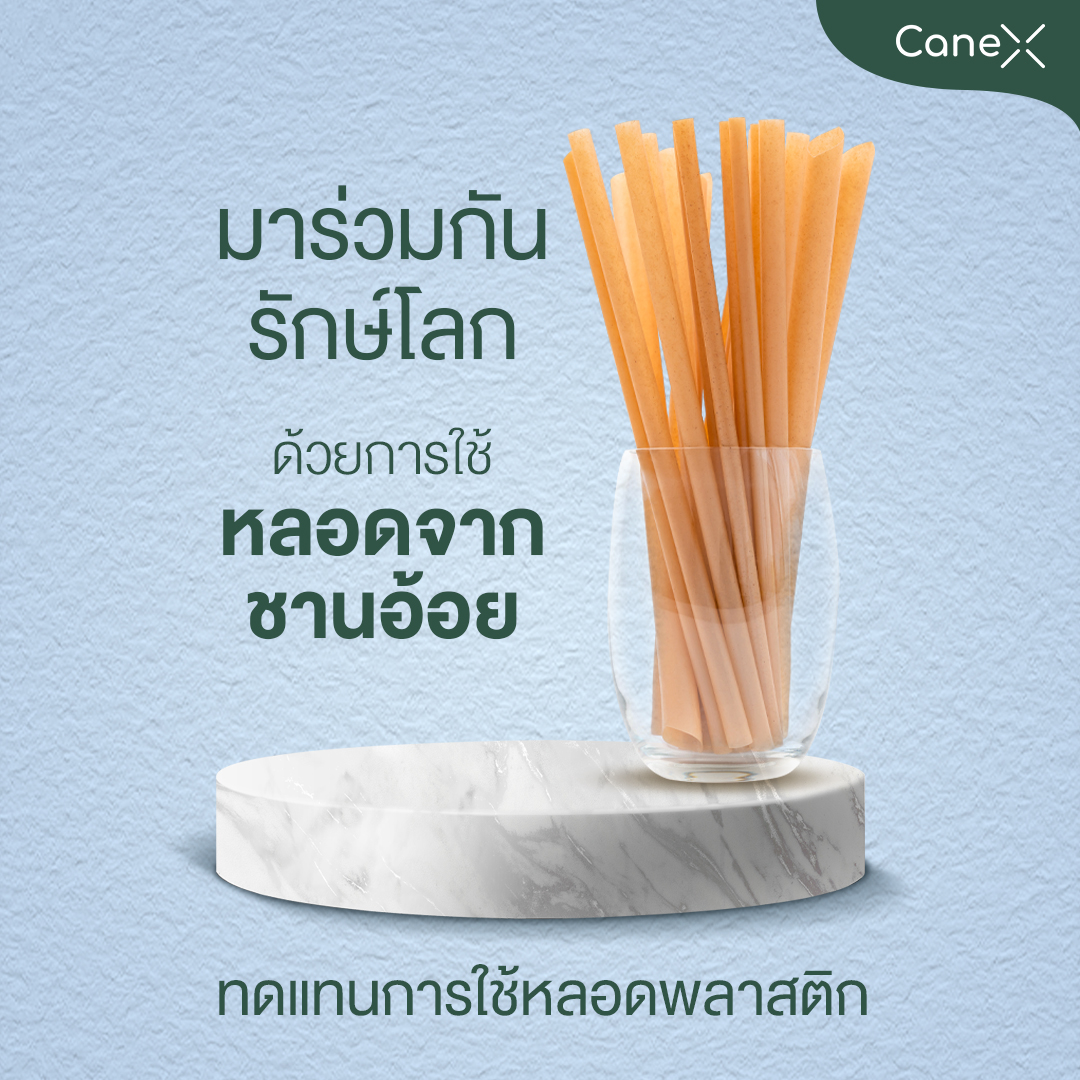 CaneX หลอดชานอ้อย ย่อยสลายได้ 100% จำนวน50ชิ้น ขนาด 12 x 210 มม. ตัด ...