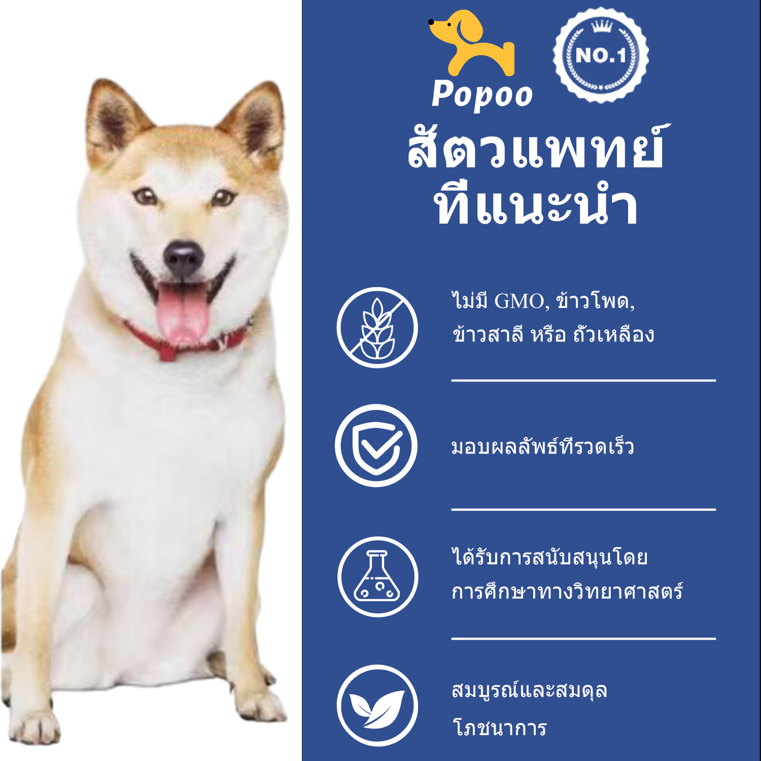 Popoo Probiotic for Dogs Gut Health โปรไบโอติกสำหรับสุนัข ขนมสุนัข ...
