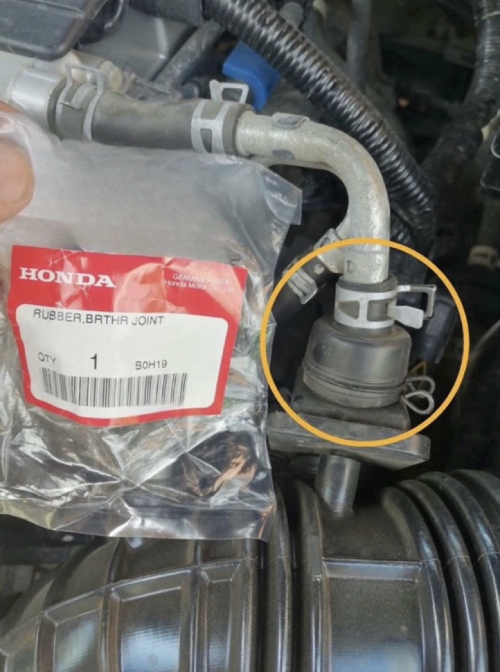 อะไหล่แท้ศูนย์ ลูกยางหม้อกรอง ACCORD 2003-2007 (EN-17152-RAA-A00 ...