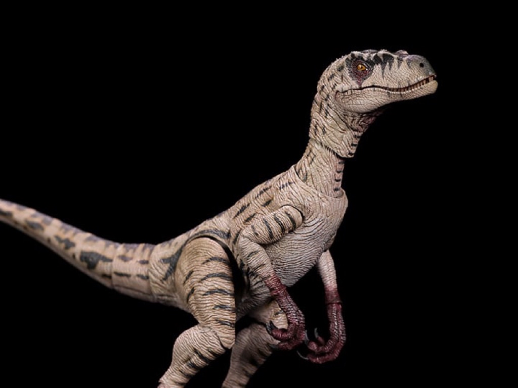 Nanmu Smart Series - Raptor White Queen/ BloodKnight JP3*Rare（มือ2 สภาพ ...