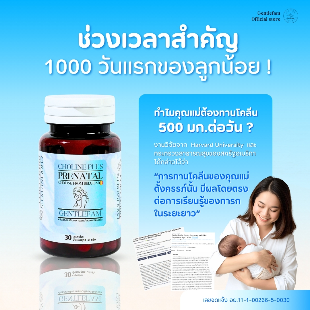 Choline+ วิตามินบำรุงครรภ์ โฟลิก โคลีน วิตามินบี 1 2 4 5 6 9 12 จาก ...