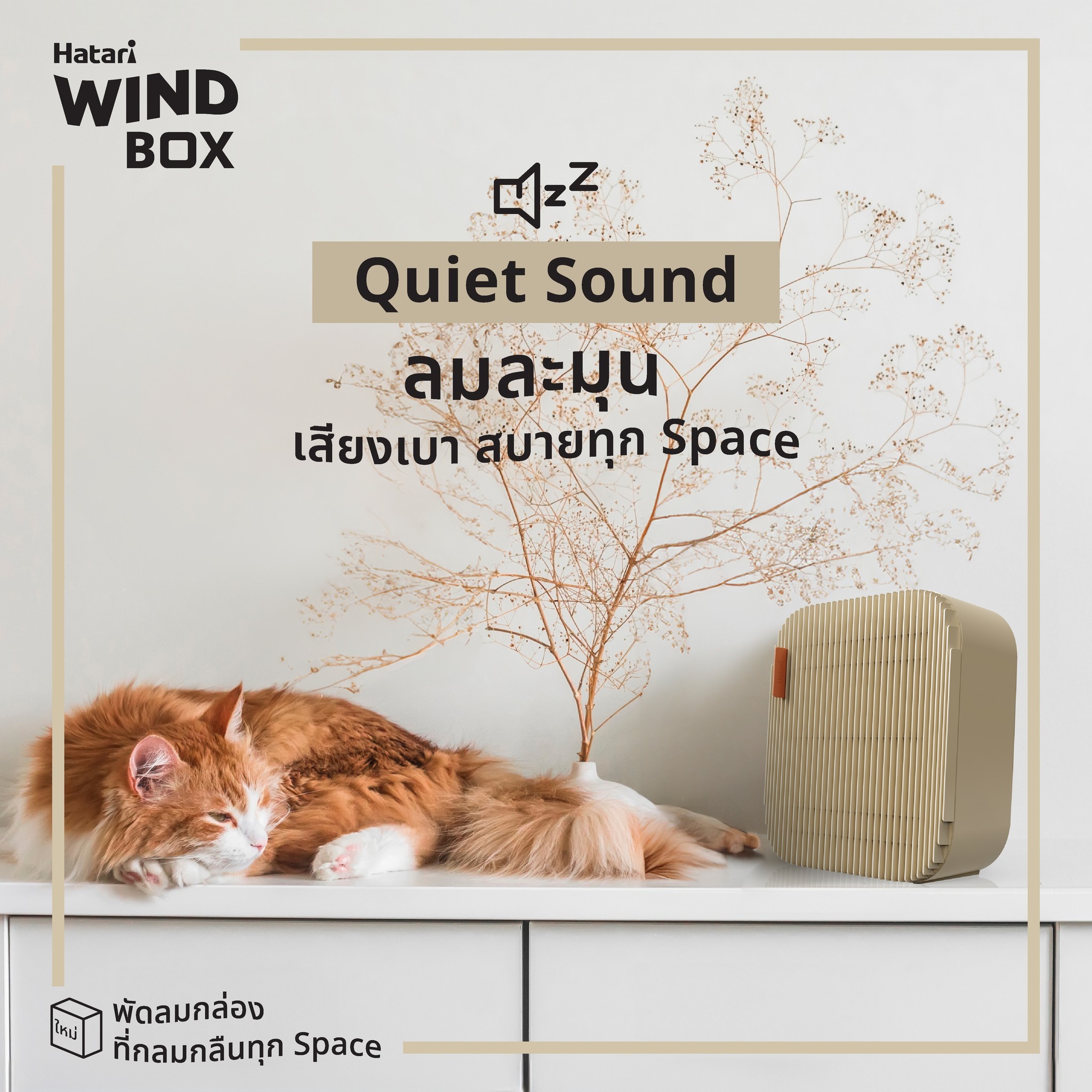 HATARI พัดลมตั้งโต๊ะ 10 นิ้ว Wind Box รุ่น WB10D1 มี 4 สีให้เลือก สีขาว ...