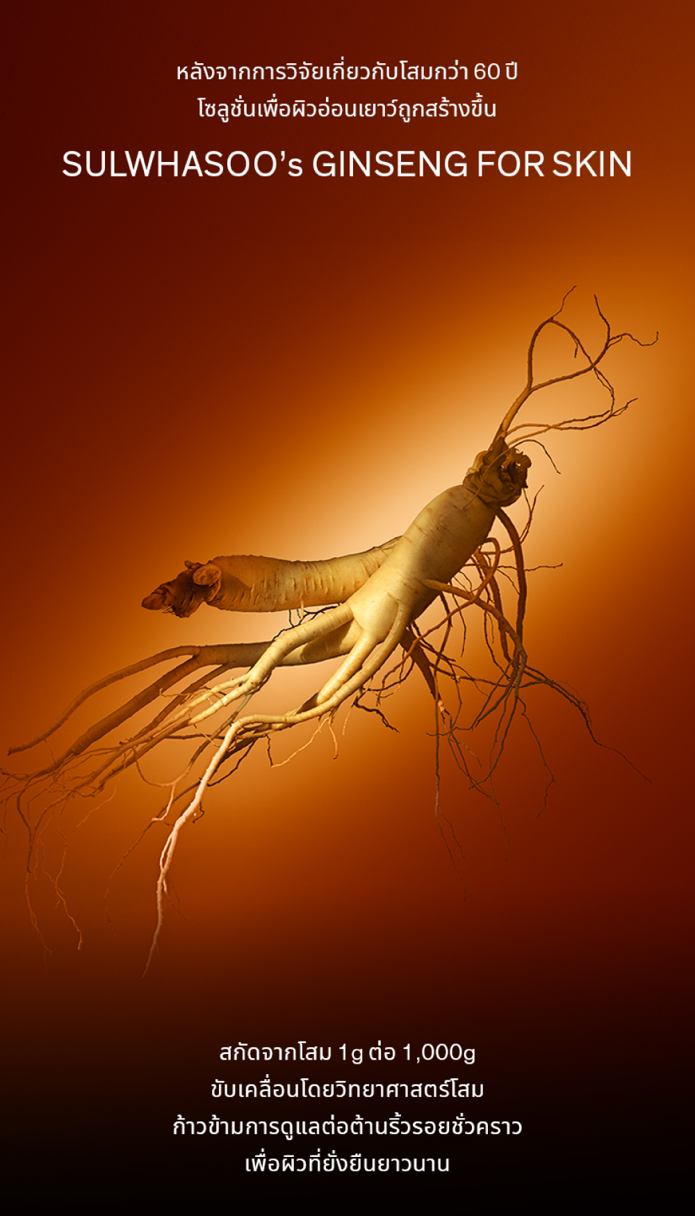 NEW] SULWHASOO Concentrated Ginseng Rejuvenating Cleansing foam 150ml.  ���ҫ� ����ҧ˹���ٵ���͹�¹���ʡѴ�ҡ��� | Shopee Thailand