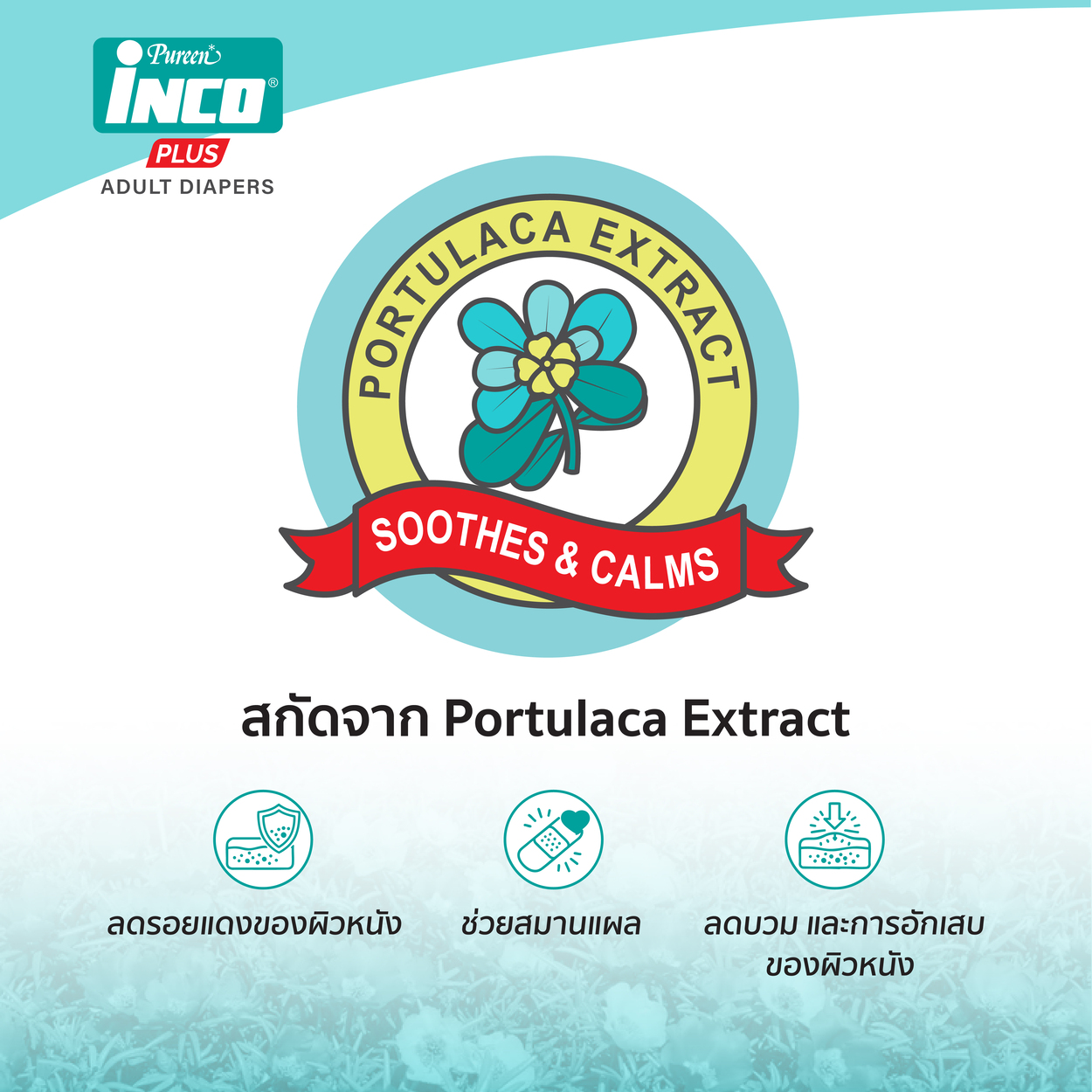 [10 ชิ้น] [Size L] อินโก้ ผ้าอ้อมผู้ใหญ่ Inco Plus Adult Diapers แห้ง ...