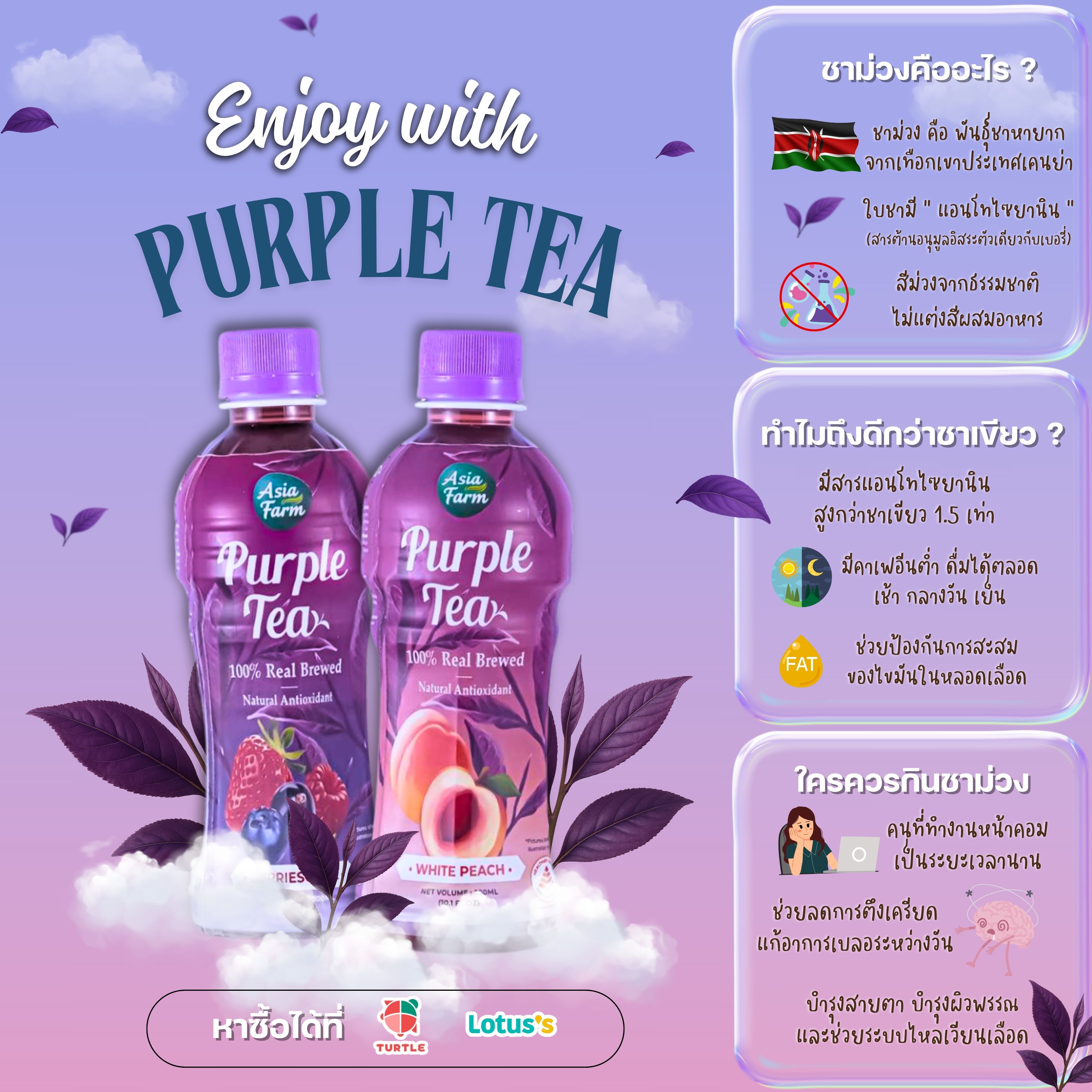 ชาสีม่วง ชาม่วงไต้หวัน เพอเพิลที ชาไต้หวัน Purple tea - Asiafarm ...