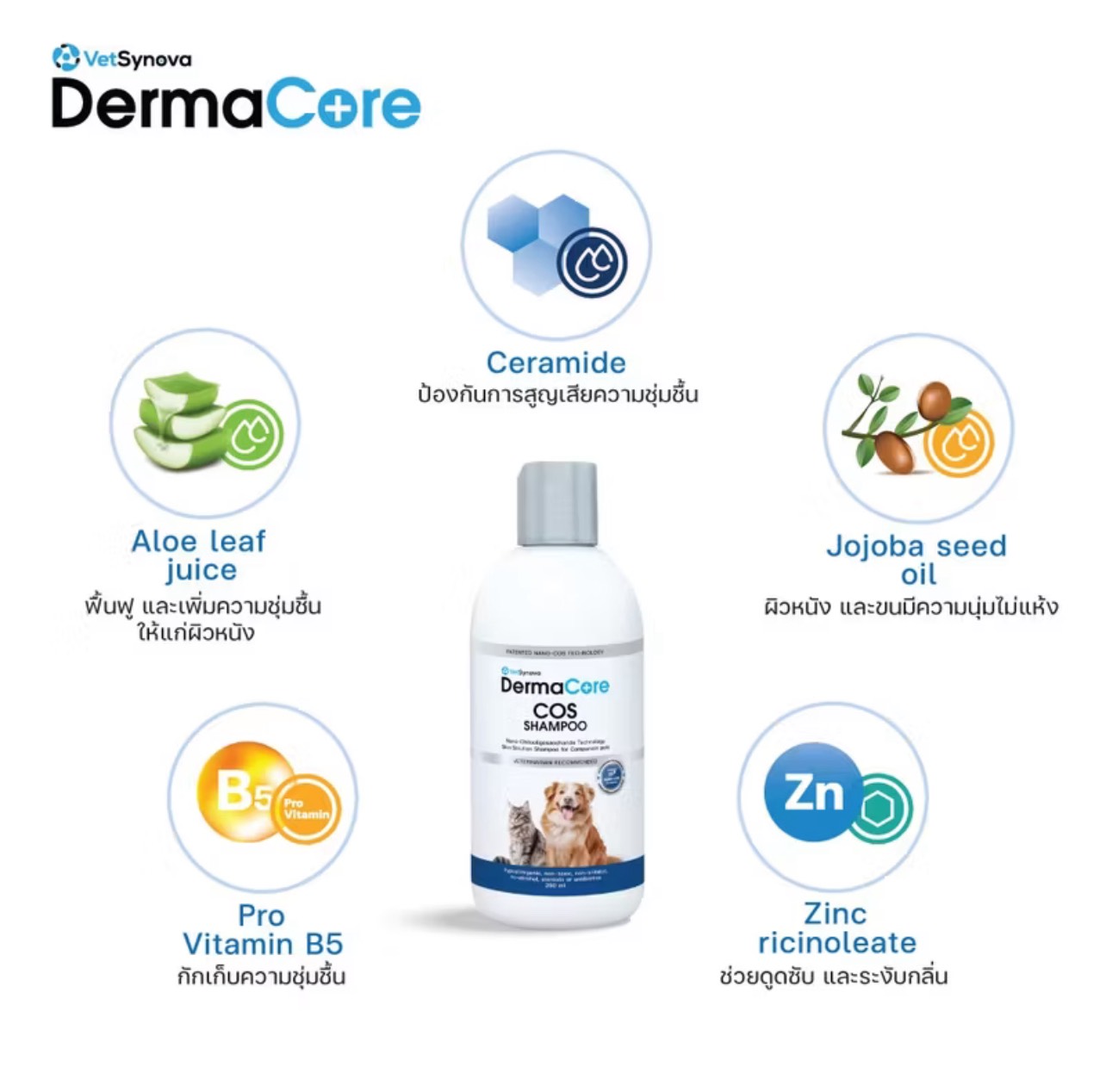 Dermacore COS Shampoo แชมพูประกอบการรักษา โรคผิวหนังติดเชื้อสําหรับ ...