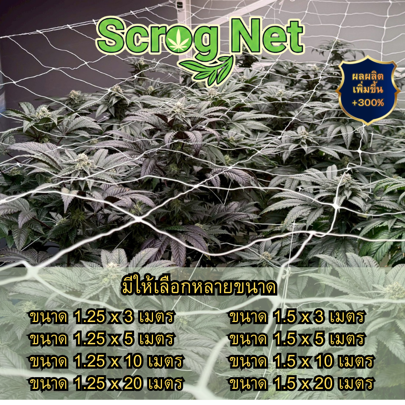 ขายดีที่สุด Scrog Net ตาข่ายปลูกต้นไม้ เพิ่มผลผลิต300% แข็งแรง ป้องกัน ...