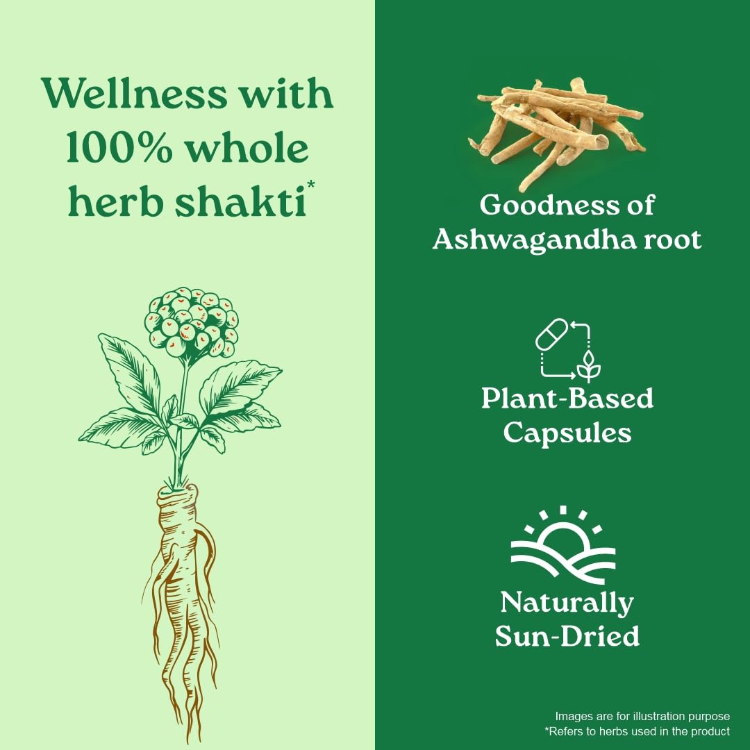 โสมอินเดีย ออร์แกนิค ORGANIC INDIA Ashwagandha Capsules - 60 แคปซูล ...