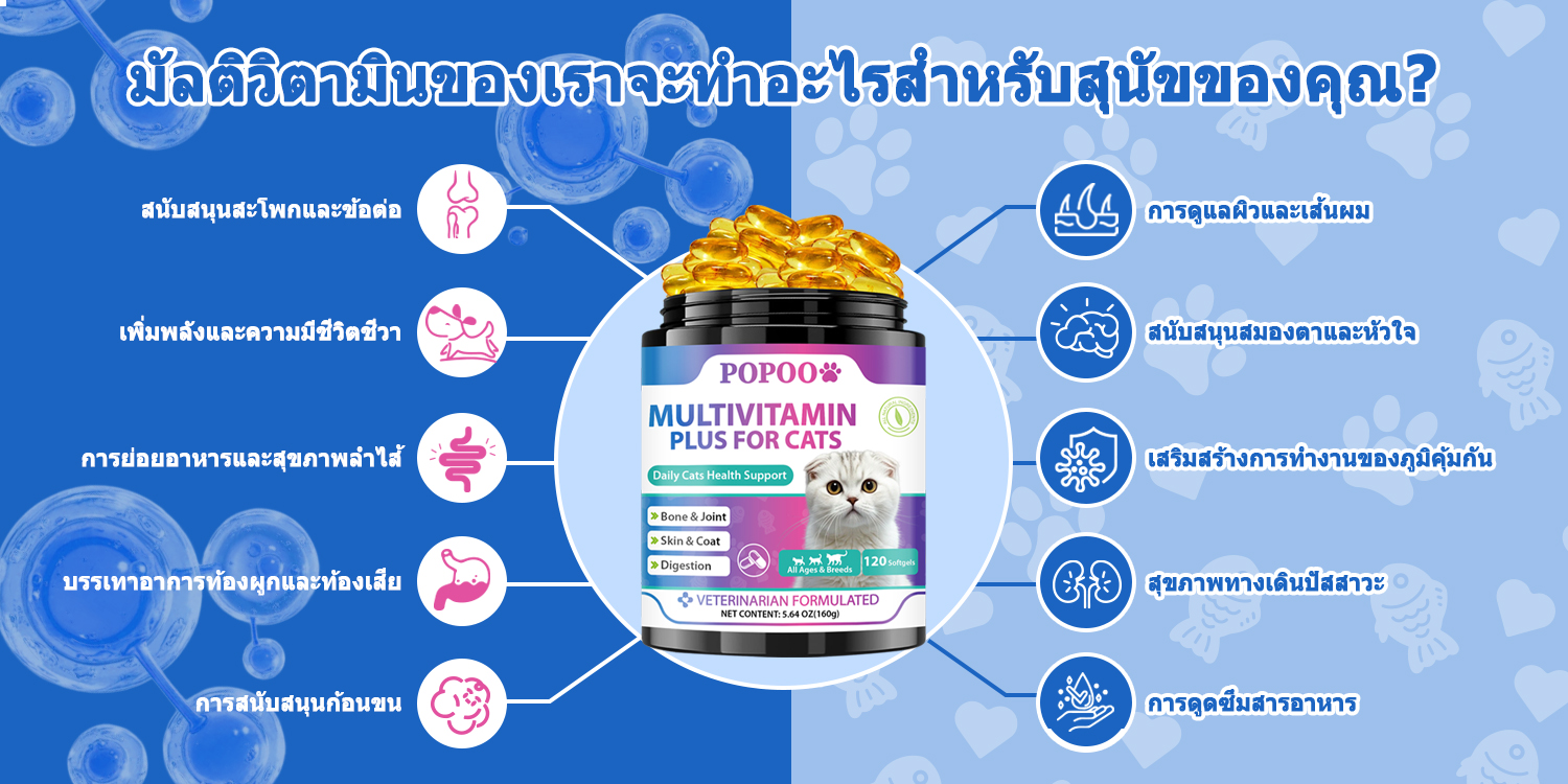 Popoo Multivitamins for Cats Overall Support วิตามินแมว ขนมแมว อาหาร ...