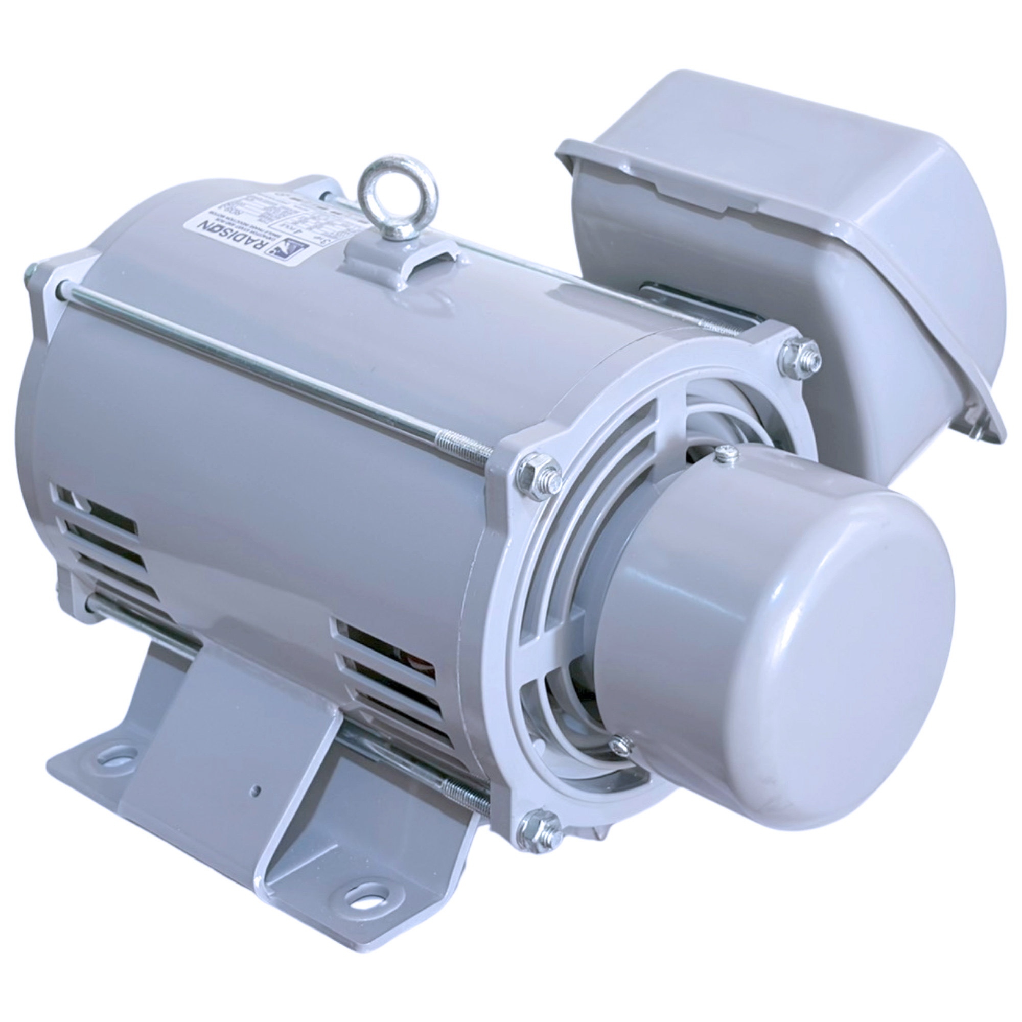 RADISON เรดิสัน มอเตอร์ มอเตอร์ไฟฟ้า 3HP 4P 220V แกน 28 มิล รุ่น RDS-3 ...