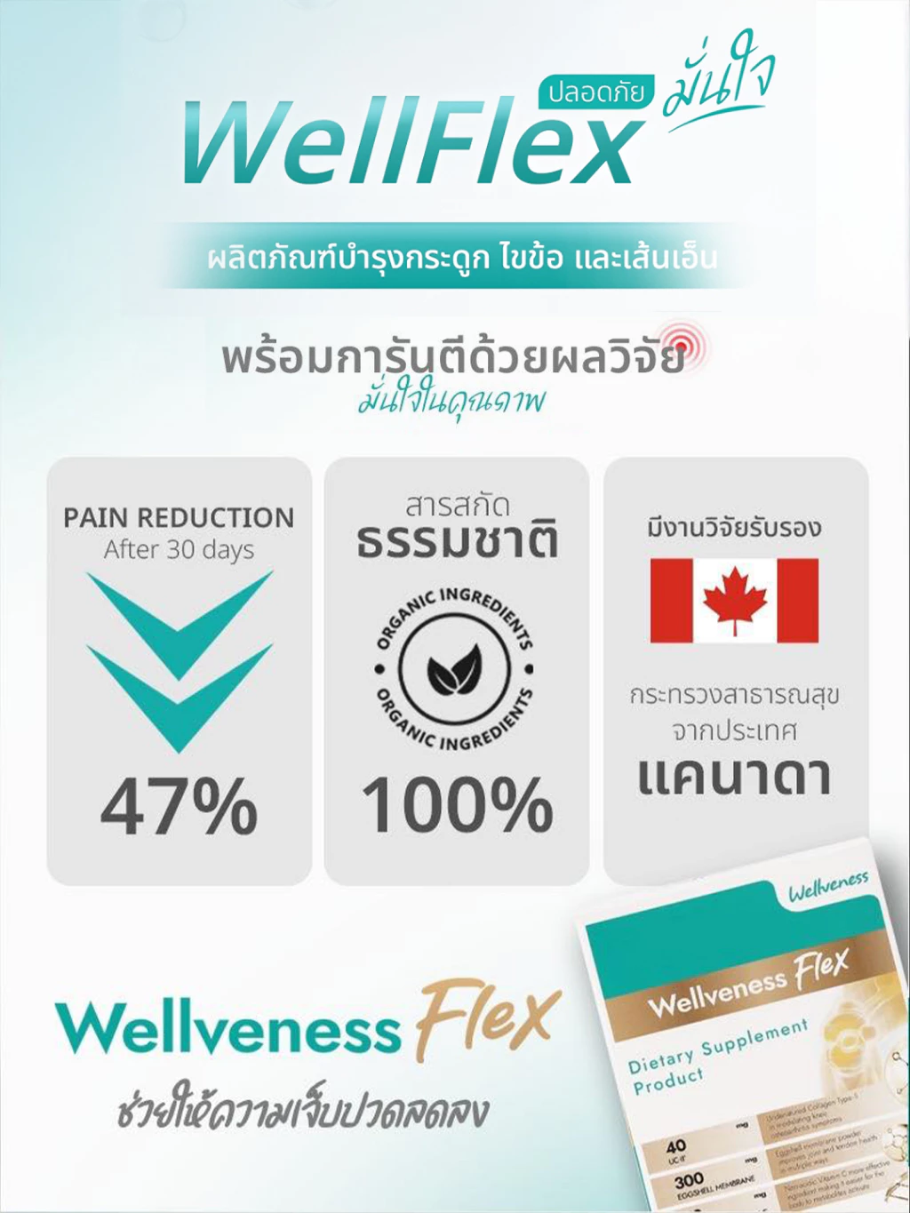 Wellveness WellFlex Flex Golgบำรุงกระดูก ไขข้อ เส้นเอ็น อาหารเสริมเพื่อ ...