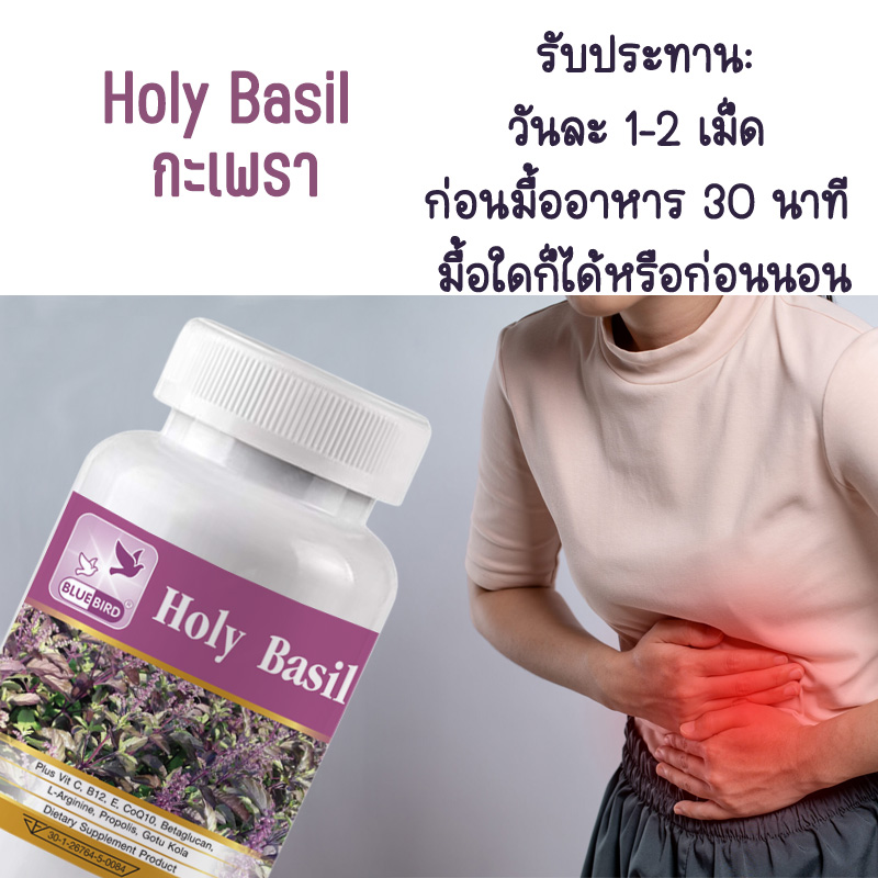 Holy Basil Plus กะเพรา พลัส ตรา บลูเบิร์ด 600 มก. 60 แคปซูล กระเพราแดง ...