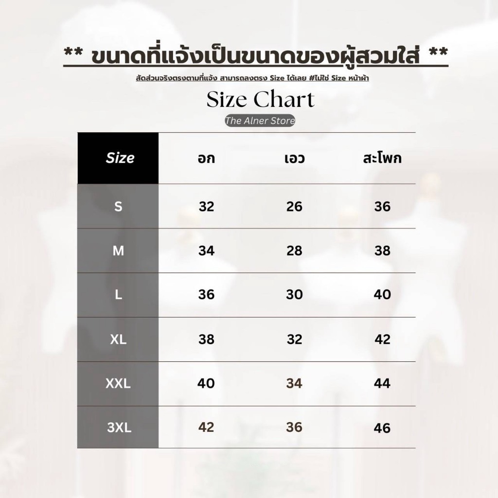 Thealner-AN117 (เซตเสื้อไหล่เฉียงกางเกงขายาว) | Shopee Thailand