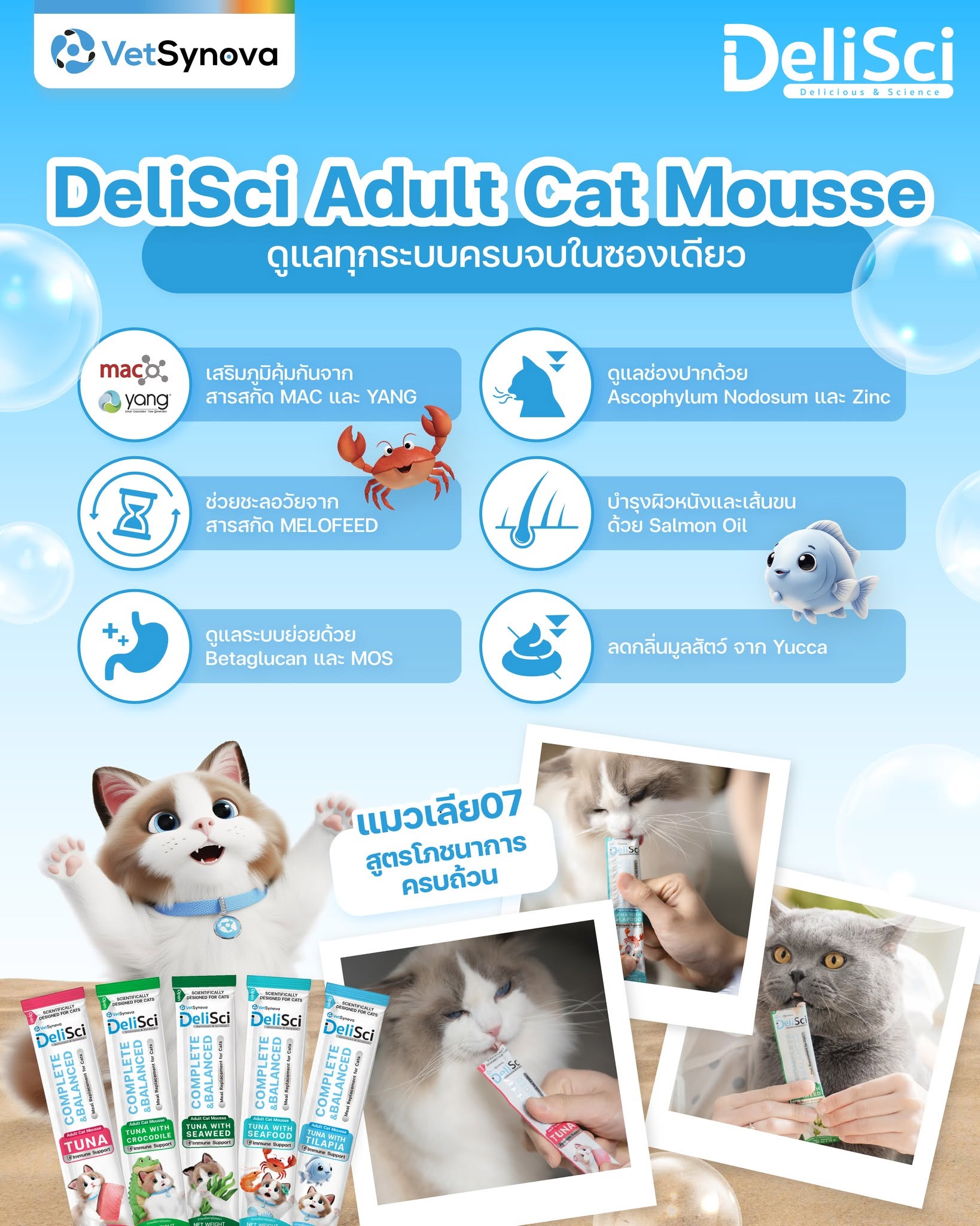 DeliSci Adult Cat Mousse Tuna Set แมวเลียรวม 5 สูตร Complete&balance ...