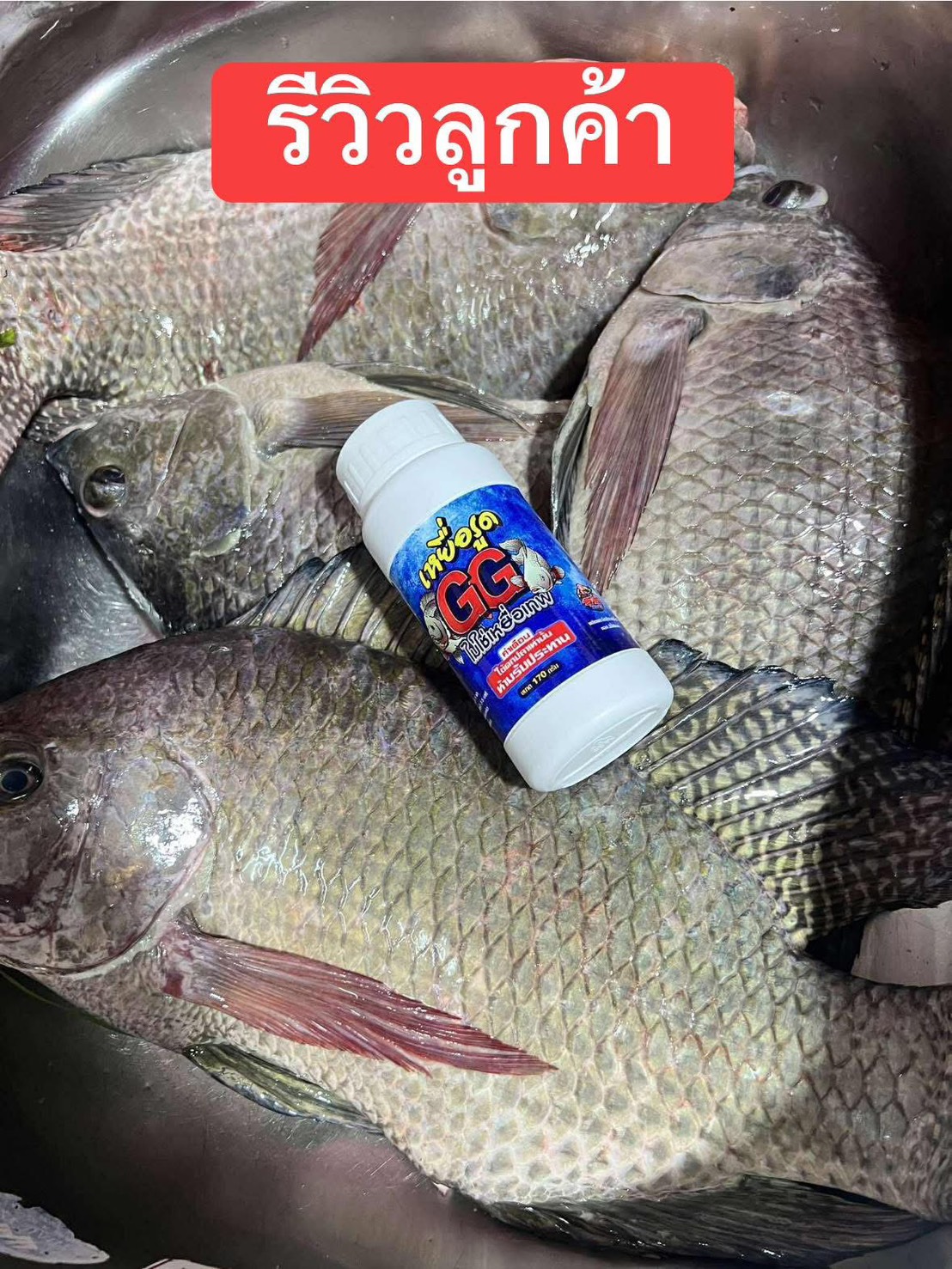 GG Fishing เหยื่อรูด ตกปลา GG ขนาด 170 กรัม สำหรับงานชิงหลิว พร้อม G ...