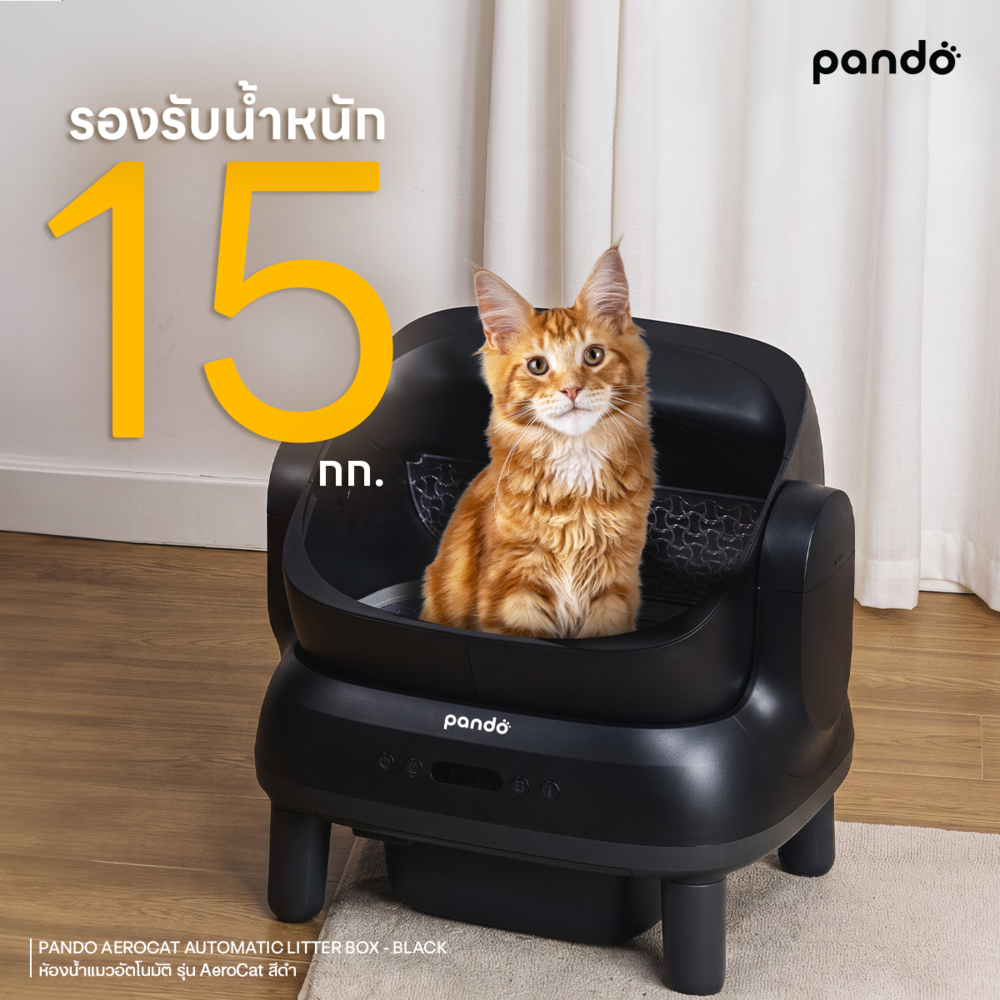 [ สินค้าใหม่ ] PANDO Aero Cat Litter Box Open-top black ห้องน้ำแมว ...