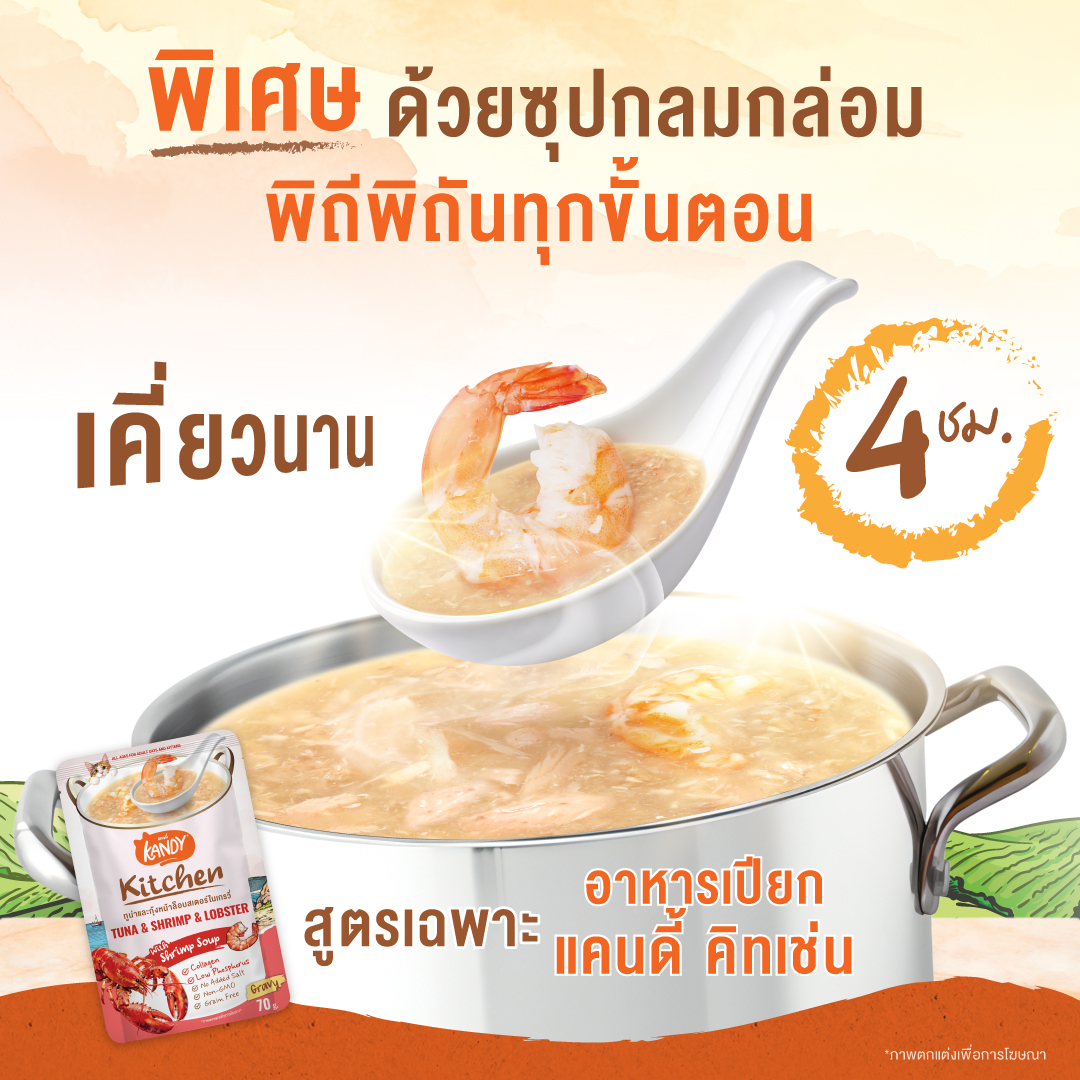Kandy Kitchen Cat Wet Food อาหารแมวแคนดี้ ชนิดเปียก ขนาดซองละ 70 กรัม ...