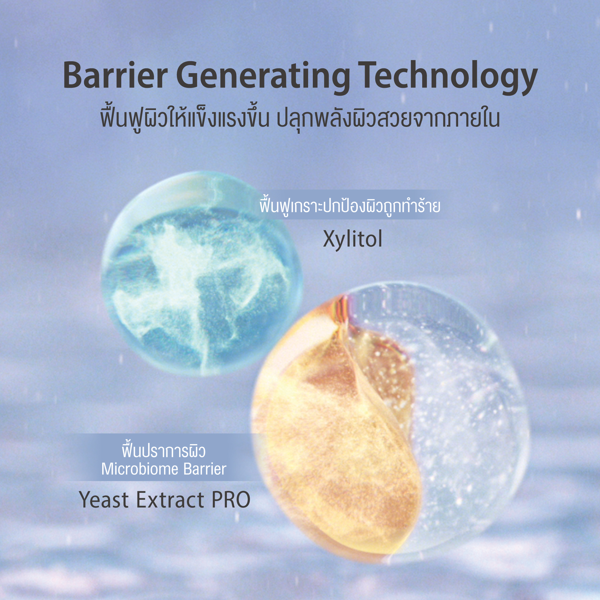 [สูตรใหม่!] d program ดี โปรแกรม บาลานซิ่ง แอคเน่ แคร์ อิมัลชั่น 100 mL ...