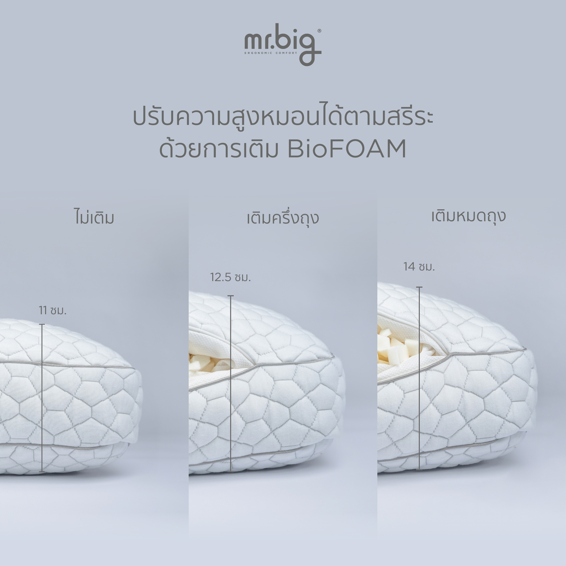 mr.big BUUM BioFOAM Pillow with Refill หมอนโฟมถั่ว | Shopee Thailand