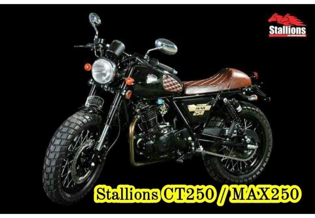 แผ่นชาร์จ Stallions MAX250 / CT250 แท้โรงงาน แท้ศูนย์ แผงชาร์จ แผ่นชาร ...