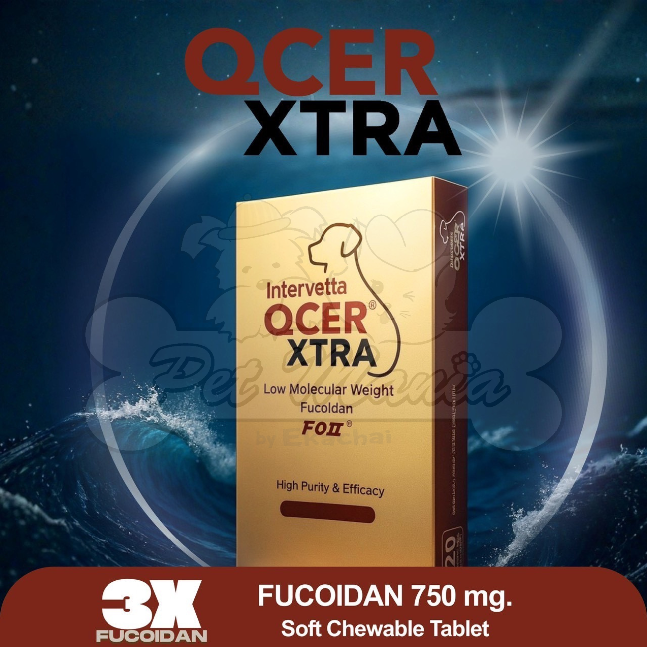 QCER XTRA สูตร Fucoidan 750 mg. (20 เม็ด) เลขทะเบียนอาหารสัตว์ ...