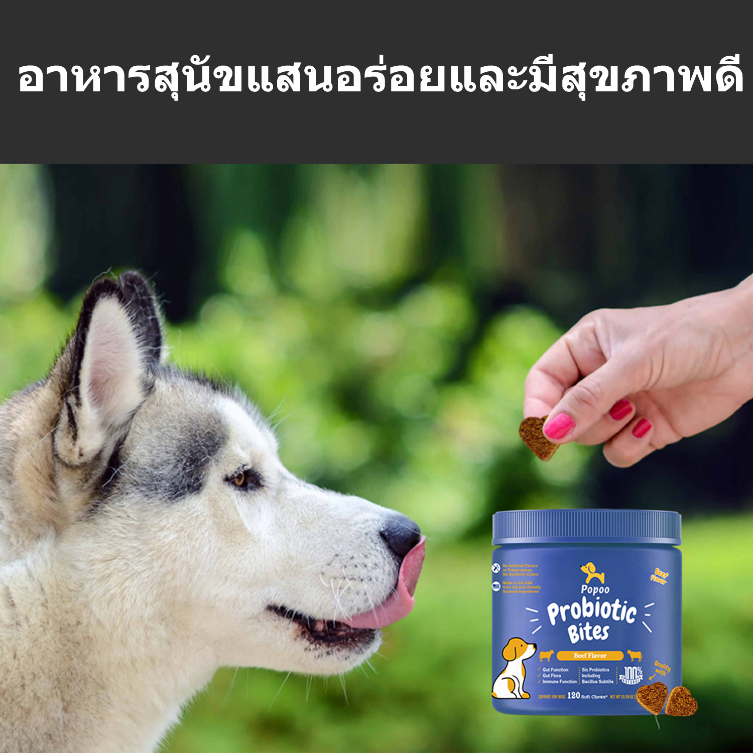 Popoo Probiotic for Dogs Gut Health โปรไบโอติกสำหรับสุนัข ขนมสุนัข ...
