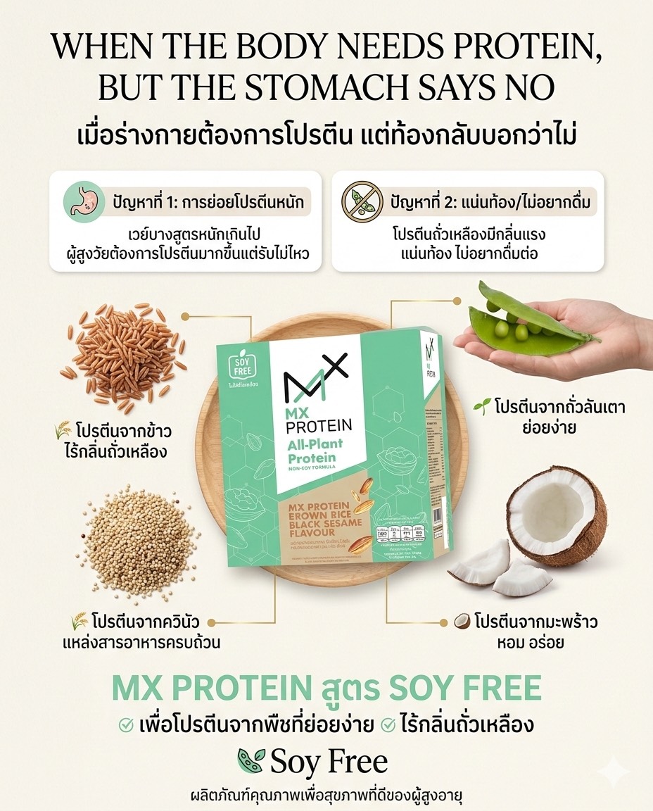 [1 กล่อง] MX PROTEIN All-Plant เอ็มเอ็กซ์ โปรตีน สูตรข้าวกล้องงาดำ ไร้ ...
