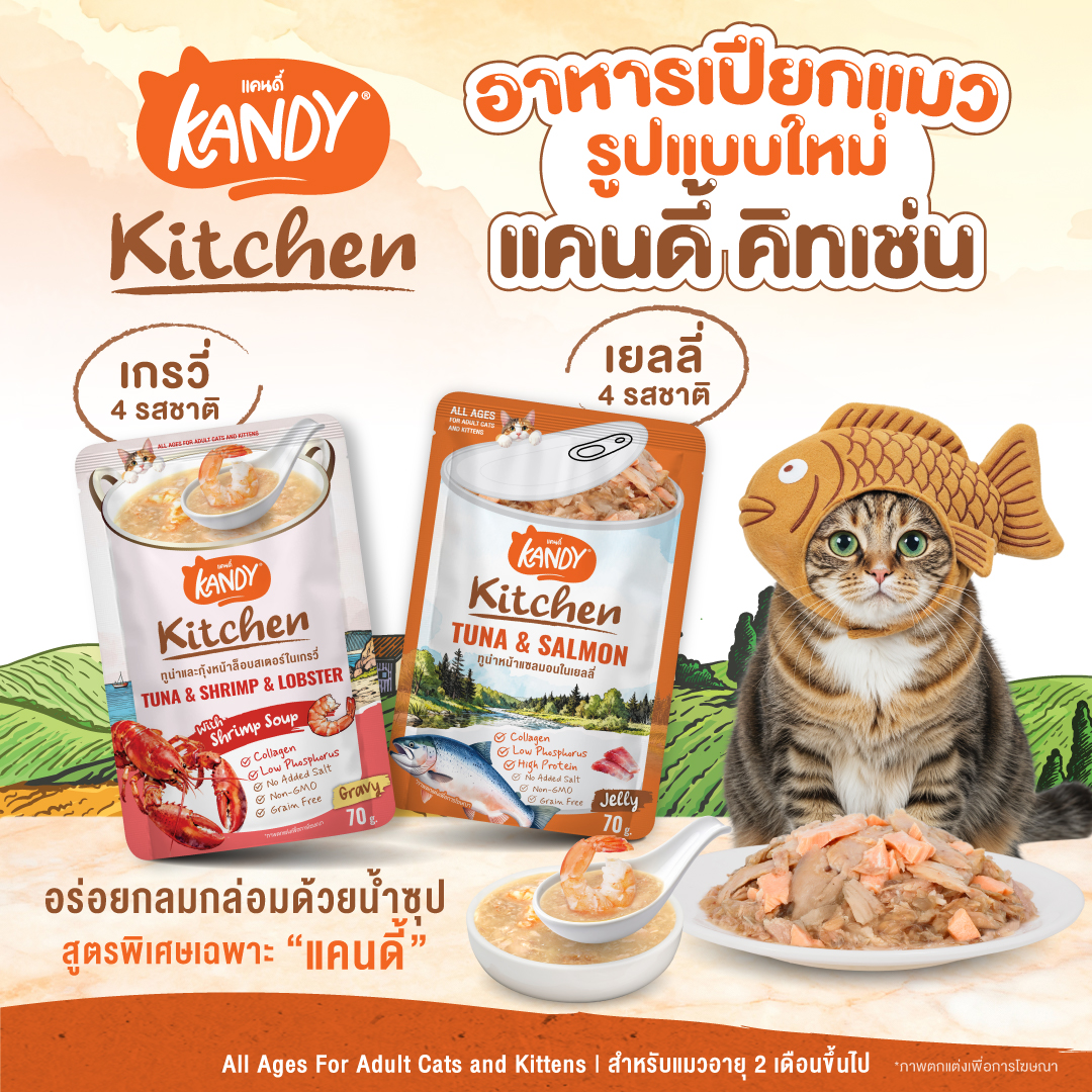 Kandy Kitchen Cat Wet Food อาหารแมวแคนดี้ ชนิดเปียก ขนาดซองละ 70 กรัม ...