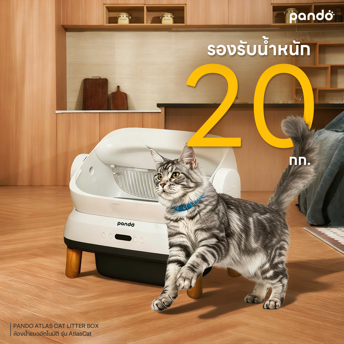 [สินค้าใหม่] PANDO Atlas Cat Litter Box Open-top ห้องน้ำแมวอัตโนมัติ ...