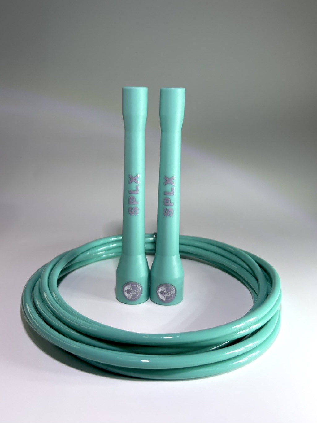 เชือกกระโดดPVC SPEED ROPE (Green mints-color) | Shopee Thailand