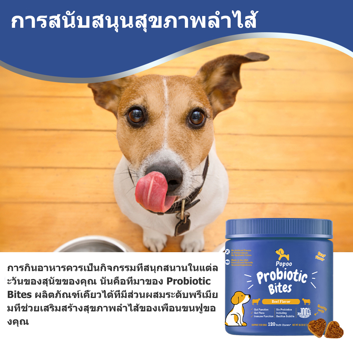 Popoo แพ็คสุดคุ้ม 2สูตร Dog Probiotics และ Multivitamins for Dogs ขนม ...