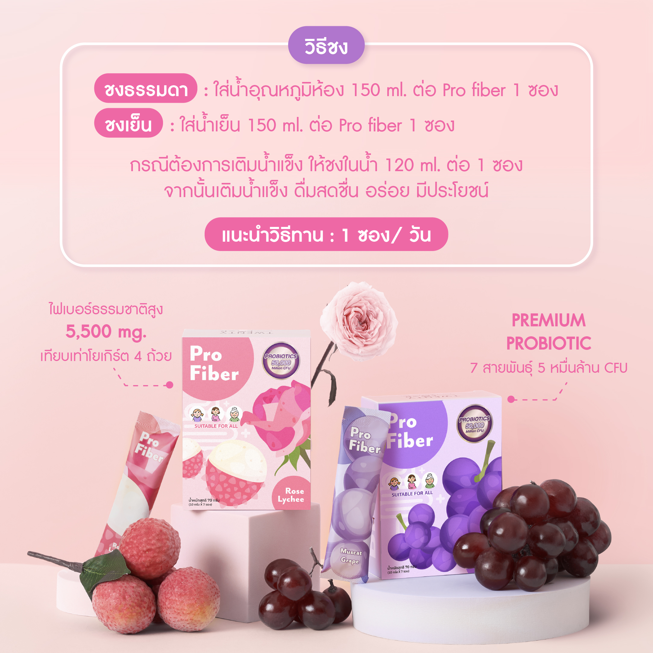 Pro Fiber ผงชงดื่มโพรไบโอติกส์และไฟเบอร์ | Shopee Thailand