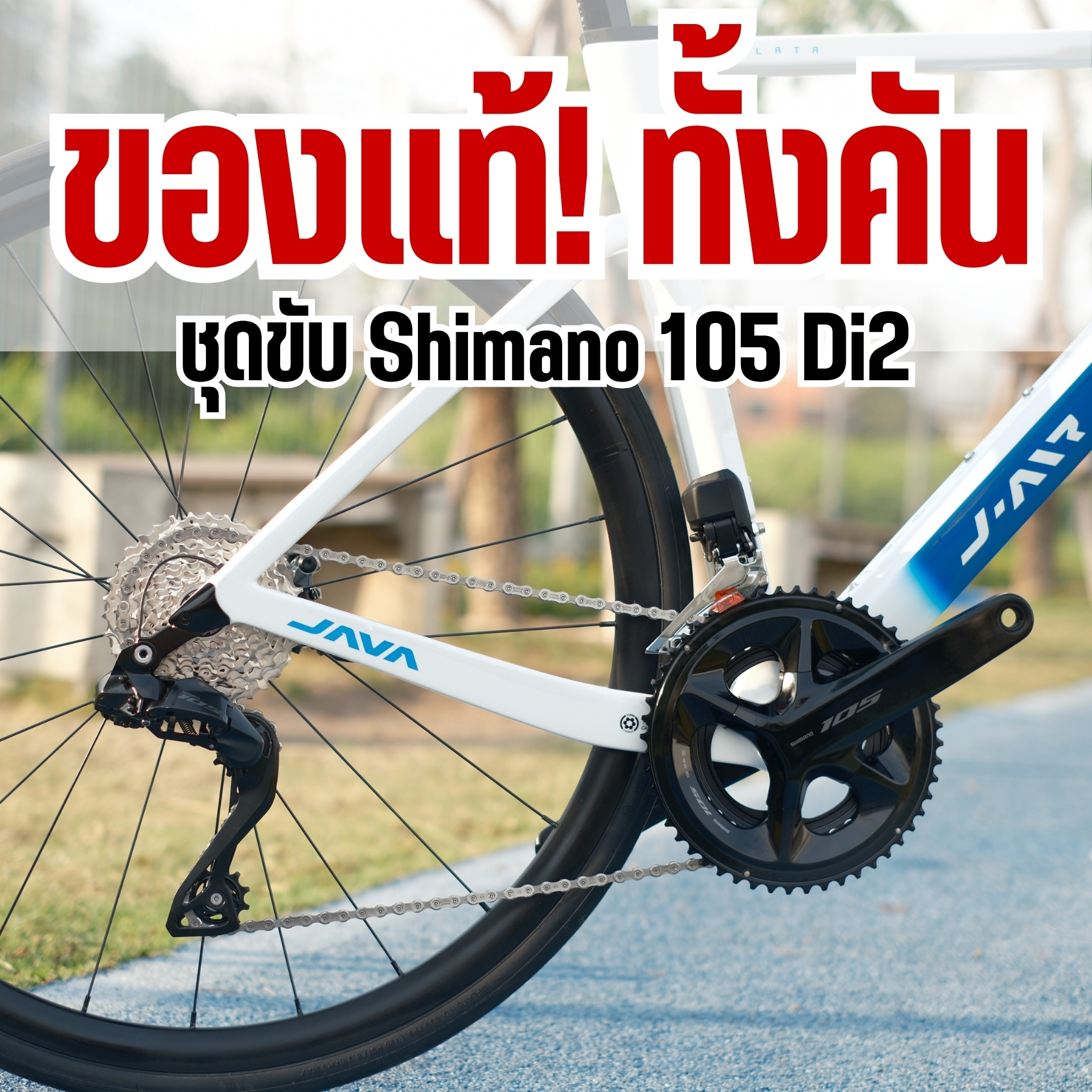 JAVA VOLATA 24sp เสือหมอบฟูลคาร์บอน รองรับ UCI ชุดขับ Shimano 105 R7120 ...