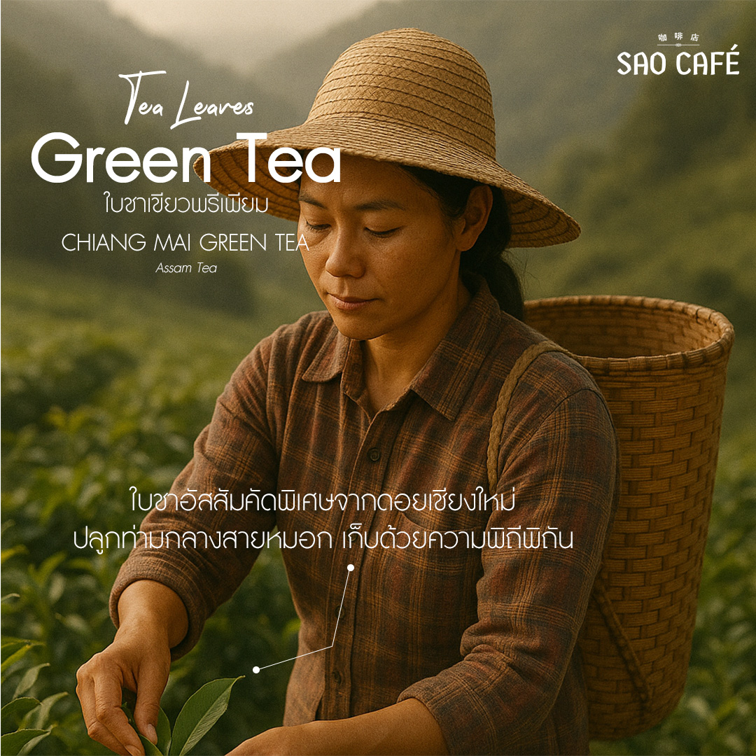 SAO CAFE ใบชาเขียวพรีเมียม - Green Tea Premium 500 g | Shopee Thailand